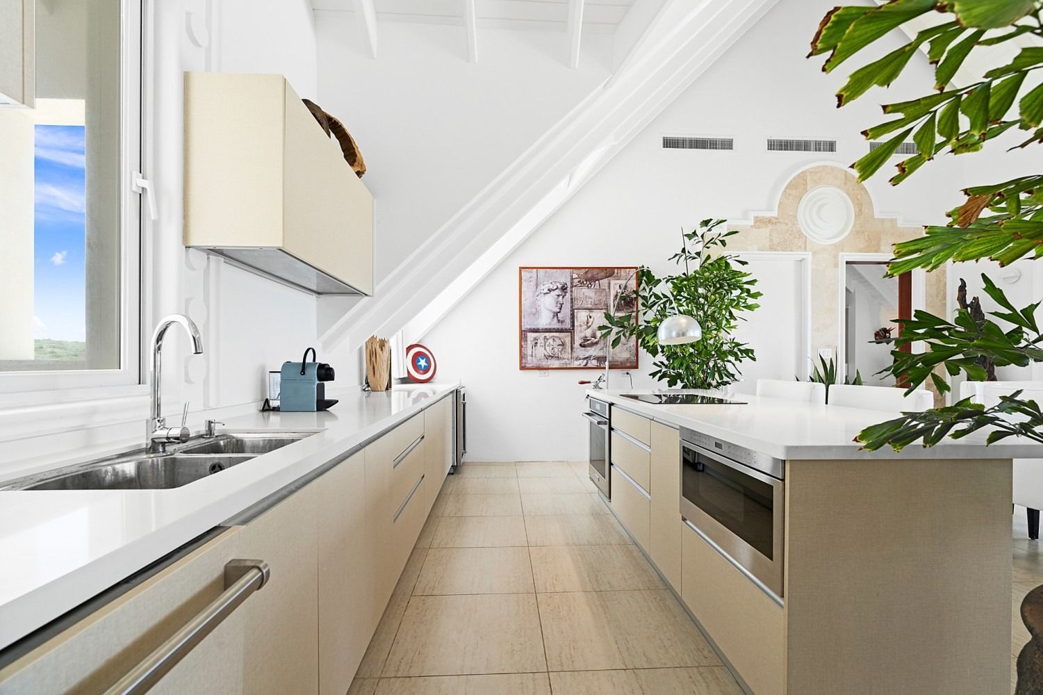 Bright, modern kitchen with white countertops and cabinets, island, and skylight, with a large plant on the right.