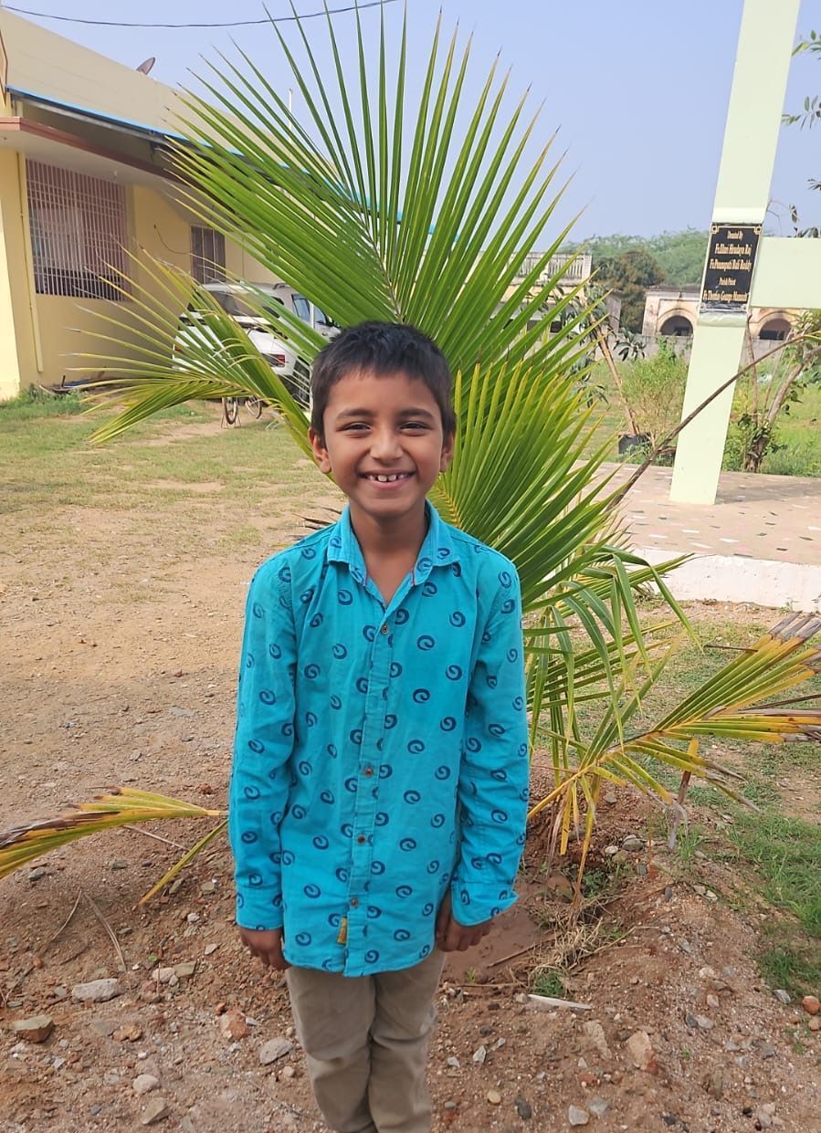 A young boy in a blue shirt is standing in front of a palm tree.