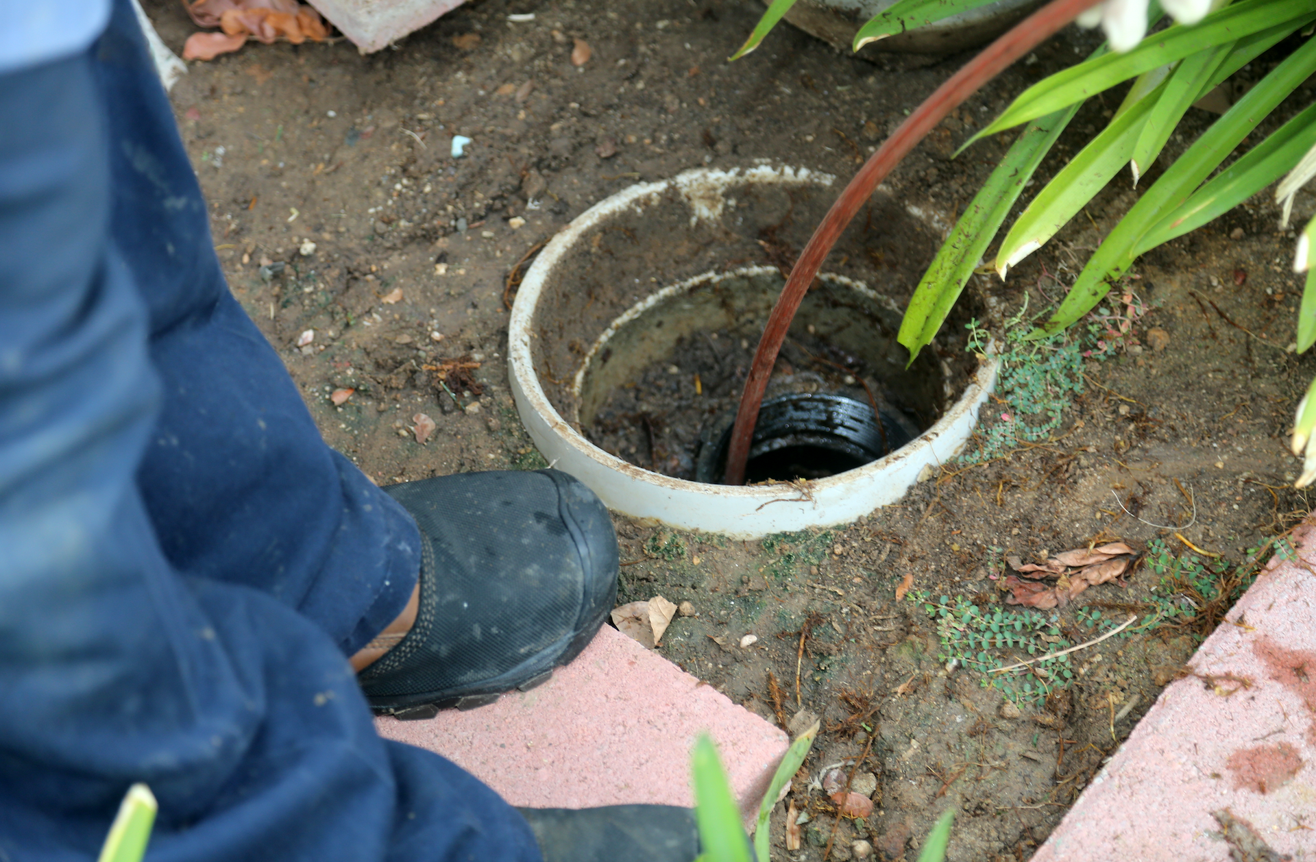 A person is cleaning a drain in the ground.