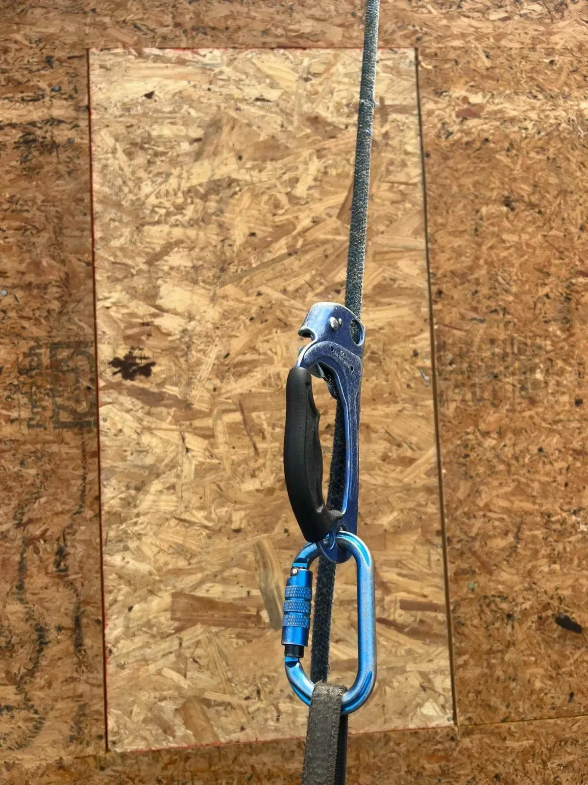 Rope and climbing device attached to a blue carabiner on a wood panel.