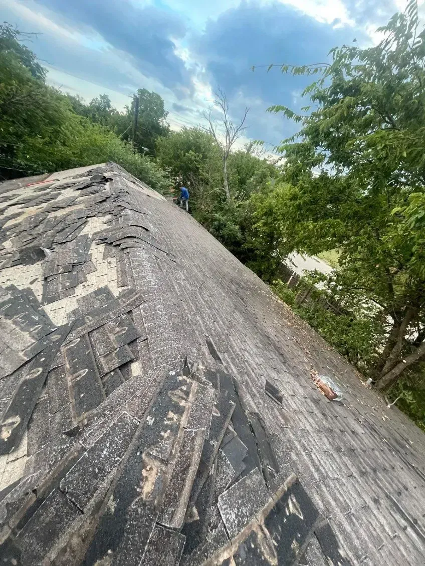 A person stands on a weathered rooftop, surrounded by greenery under a cloudy sky.