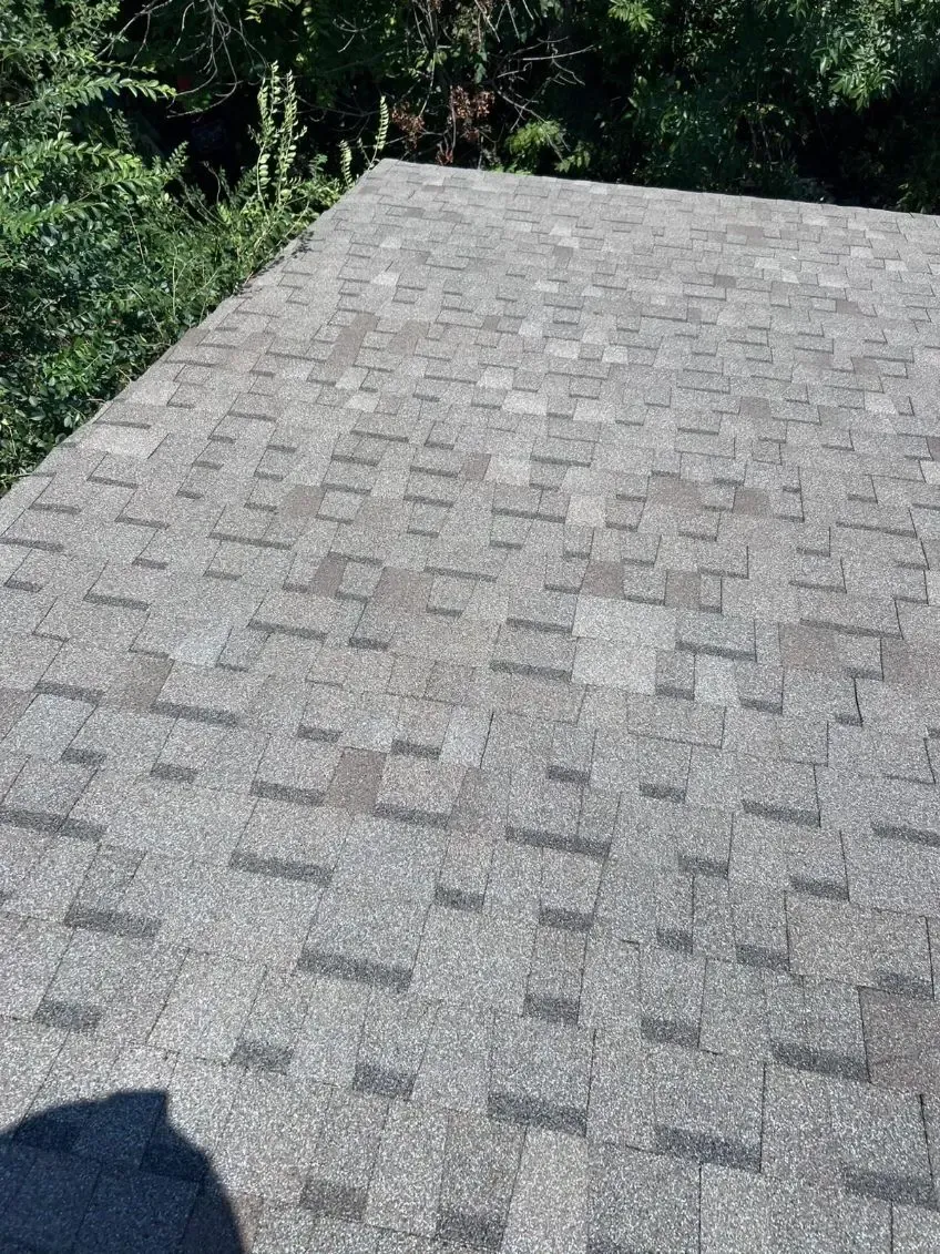 Gray asphalt shingle roof. Green trees in the background. Shadow in the lower left corner.