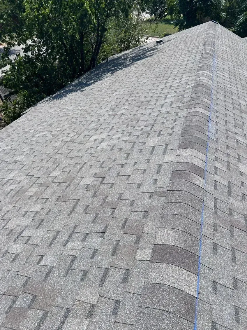 Grey asphalt shingle roof on a house, angled view. Tree branches in the background.