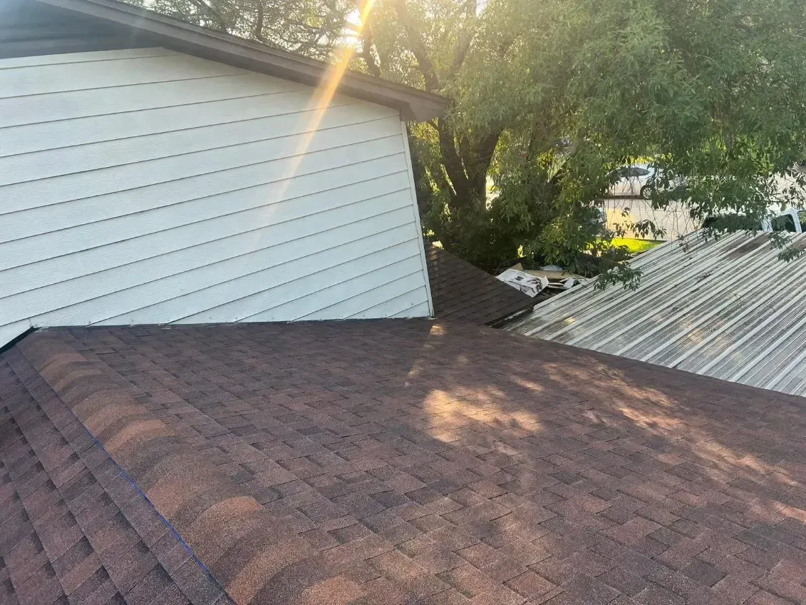 Brown shingled roof with white siding. Sunlight shines. Tree in the background.