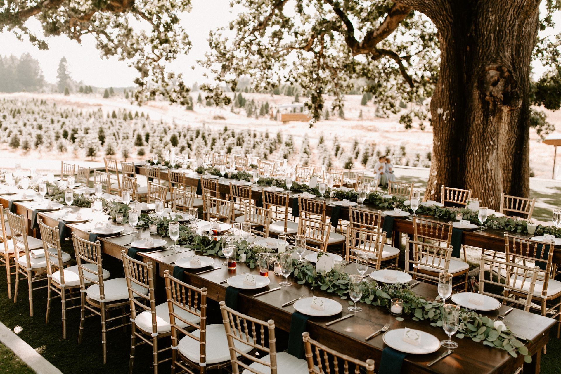 Reception tables outside on a farm with beautiful table scaping. 