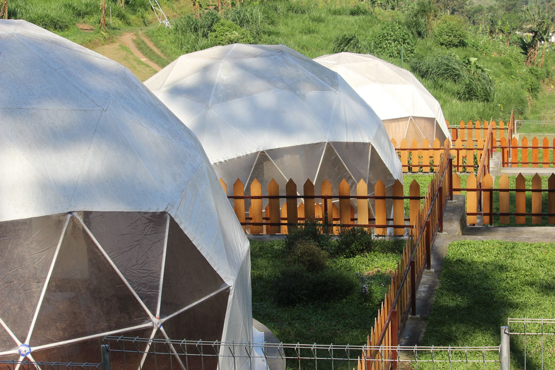 White geodesic domes with a wooden fence on green grass.