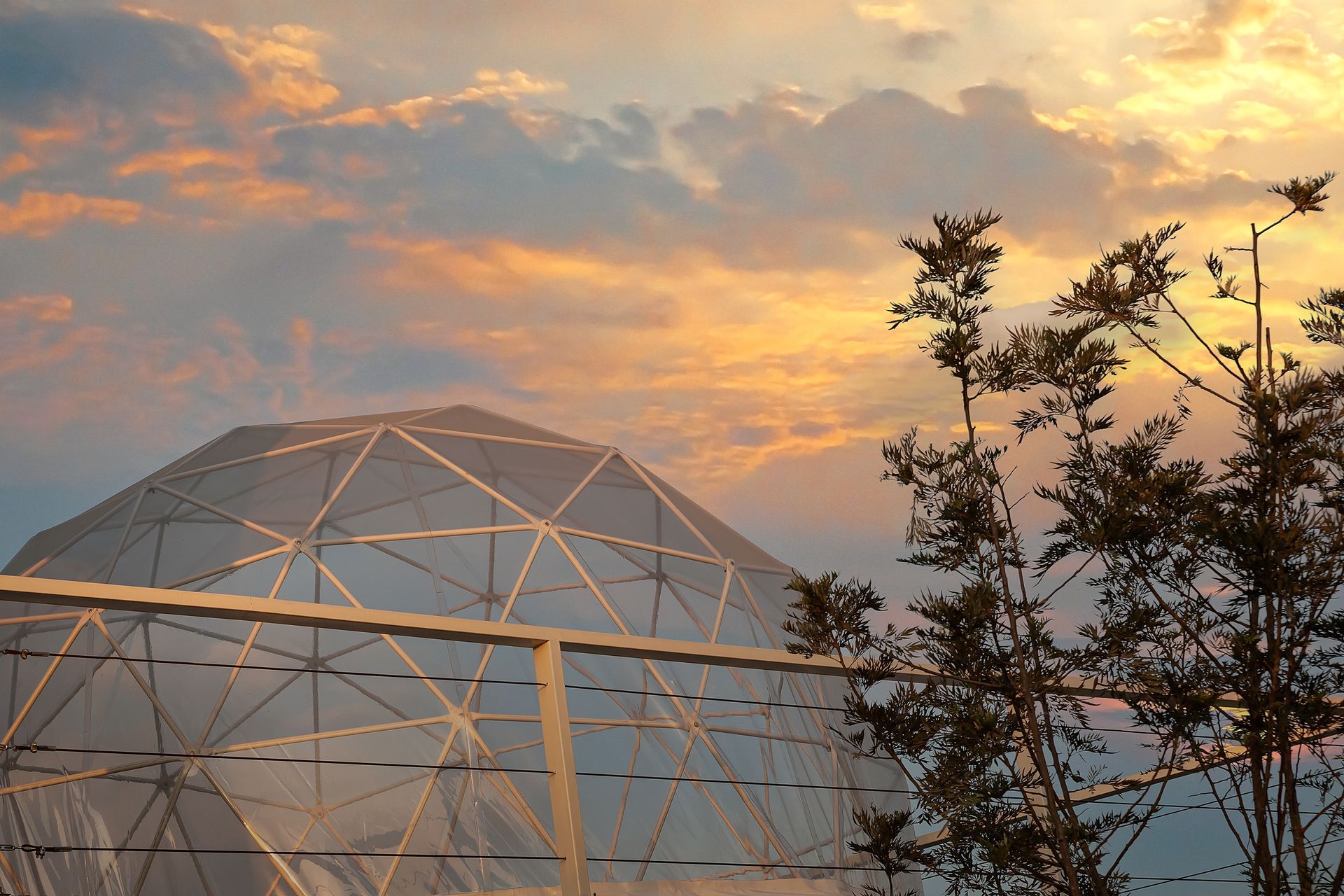 Geodesic dome structure under a sunset sky, with a tree in the foreground.