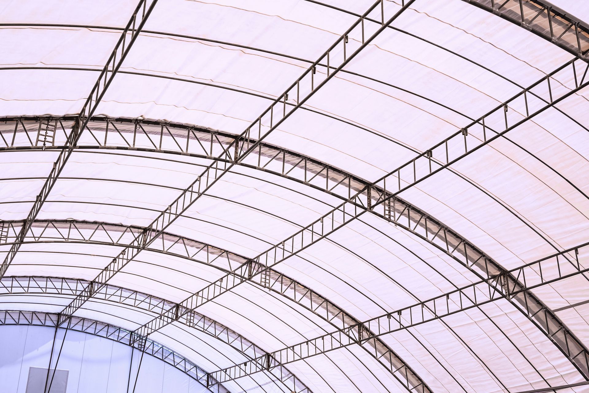 Curved, arched roof of a large building, supported by a metal truss framework, with translucent panels.