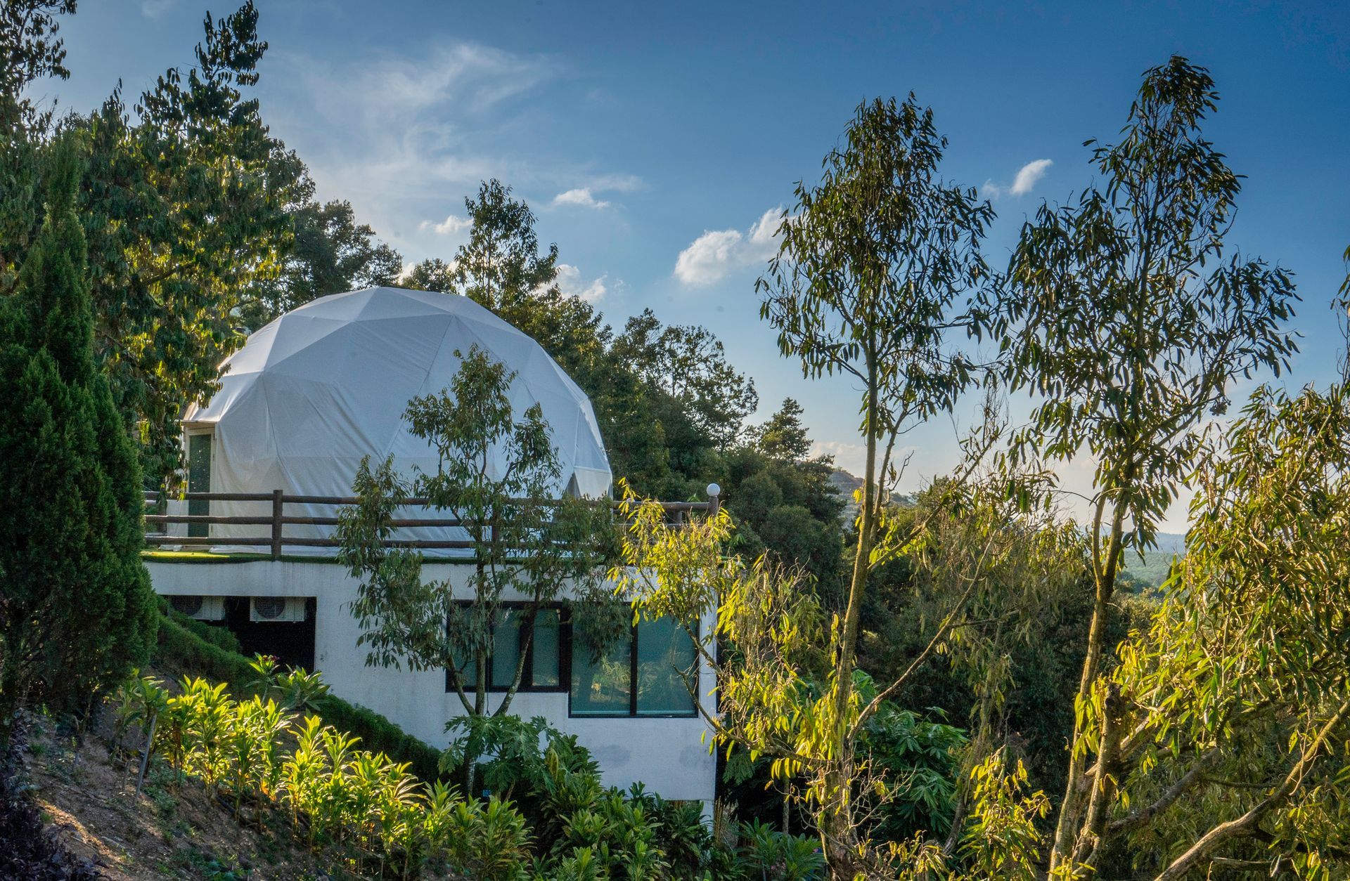 White dome-shaped structure atop a white building with windows, surrounded by trees and vegetation, under a blue sky.