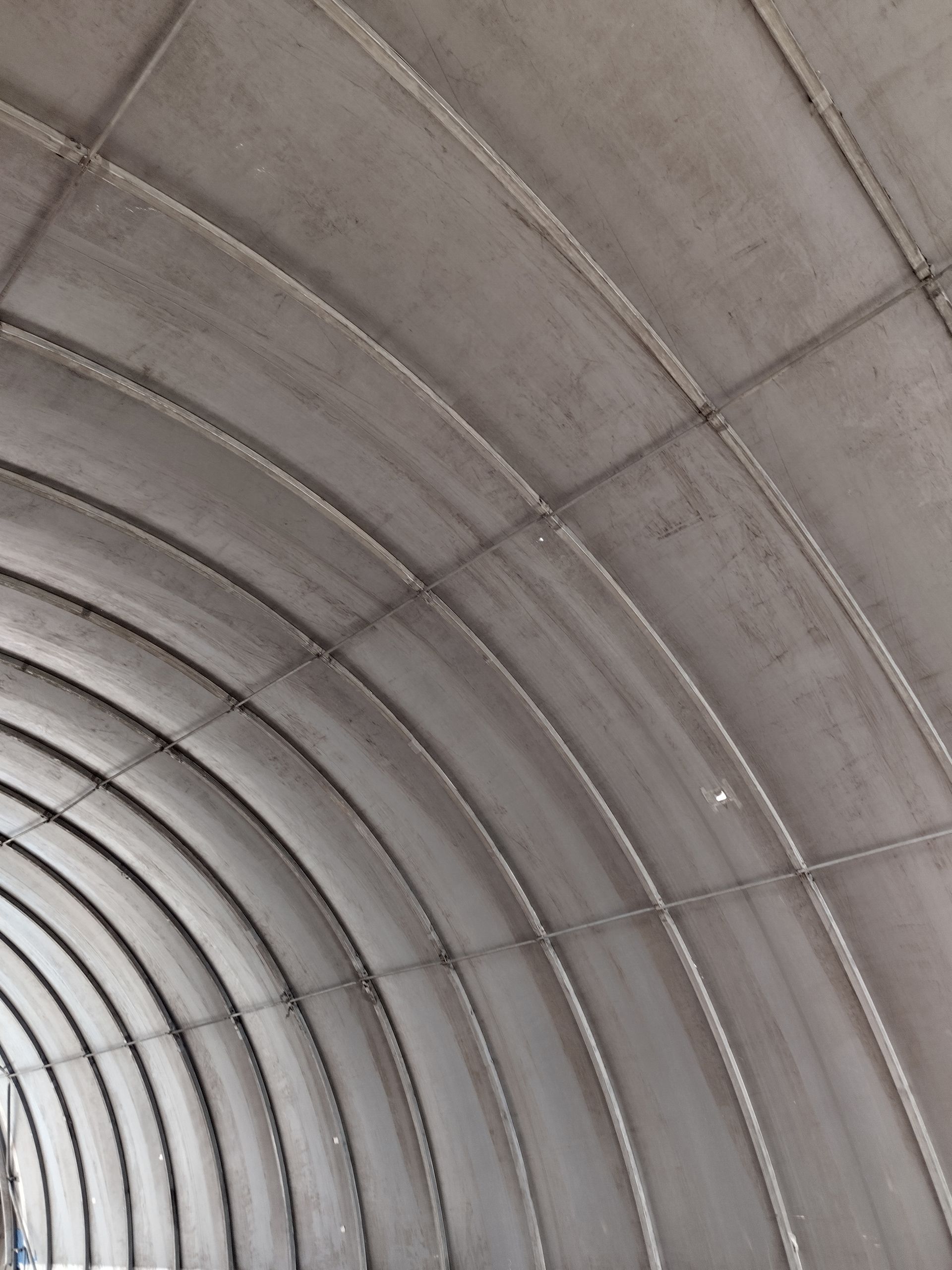 A silver geodesic dome structure with an open doorway in a wooded setting.