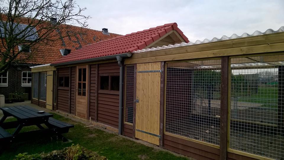 Houten dierenverblijf met rood pannendak en gaaspanelen, gebouwd door A&B Betonbouw.