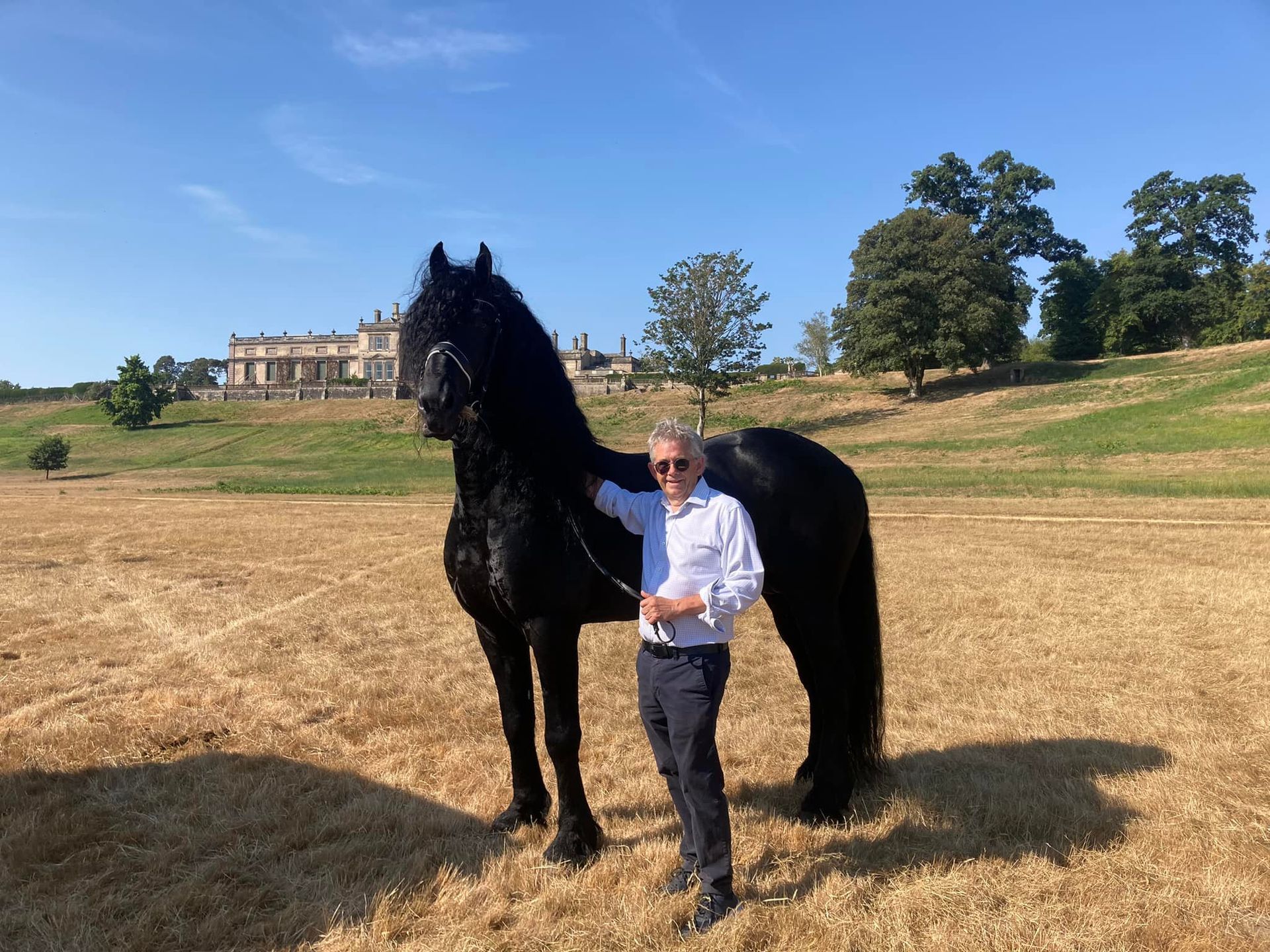 A man is standing next to a large black horse in a field.