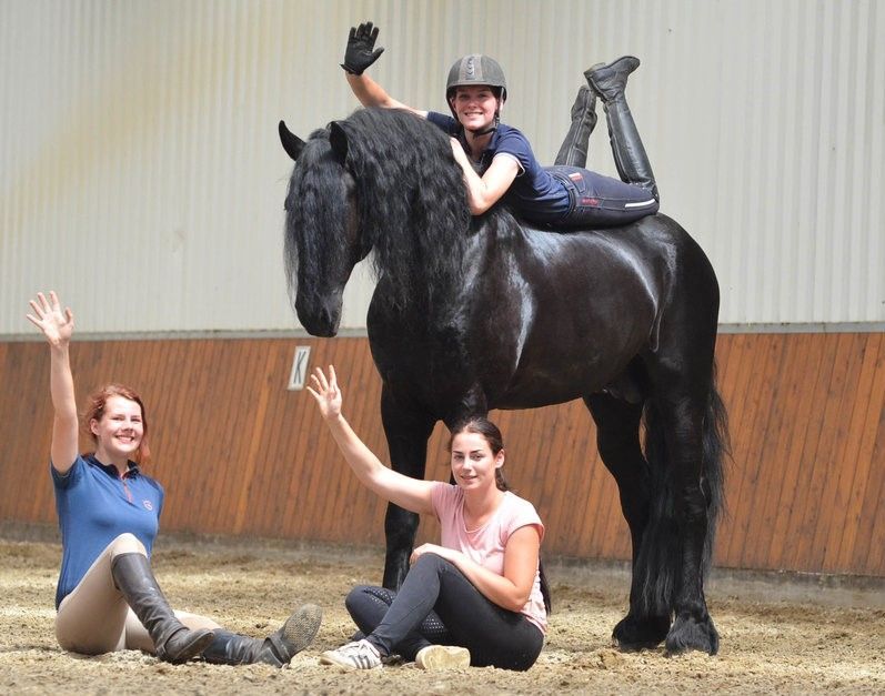 A woman is laying on the back of a black horse