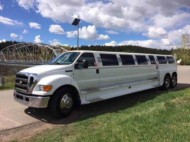 A white limousine is parked on the side of the road in front of a bridge.