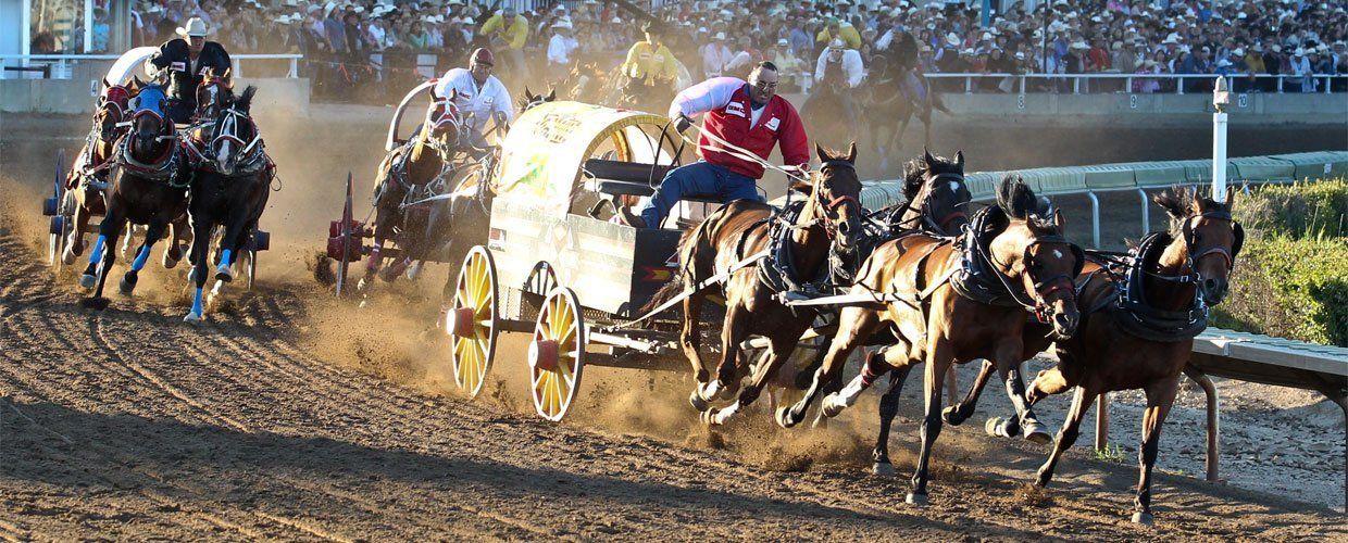Calgary Stampede