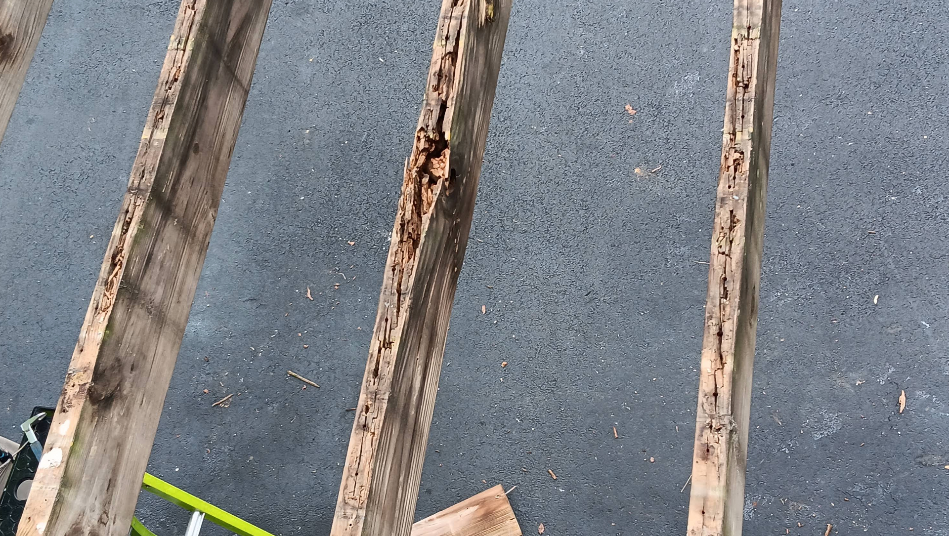 Three weathered wooden boards damaged by decay or insect activity, laying on a dark asphalt surface.