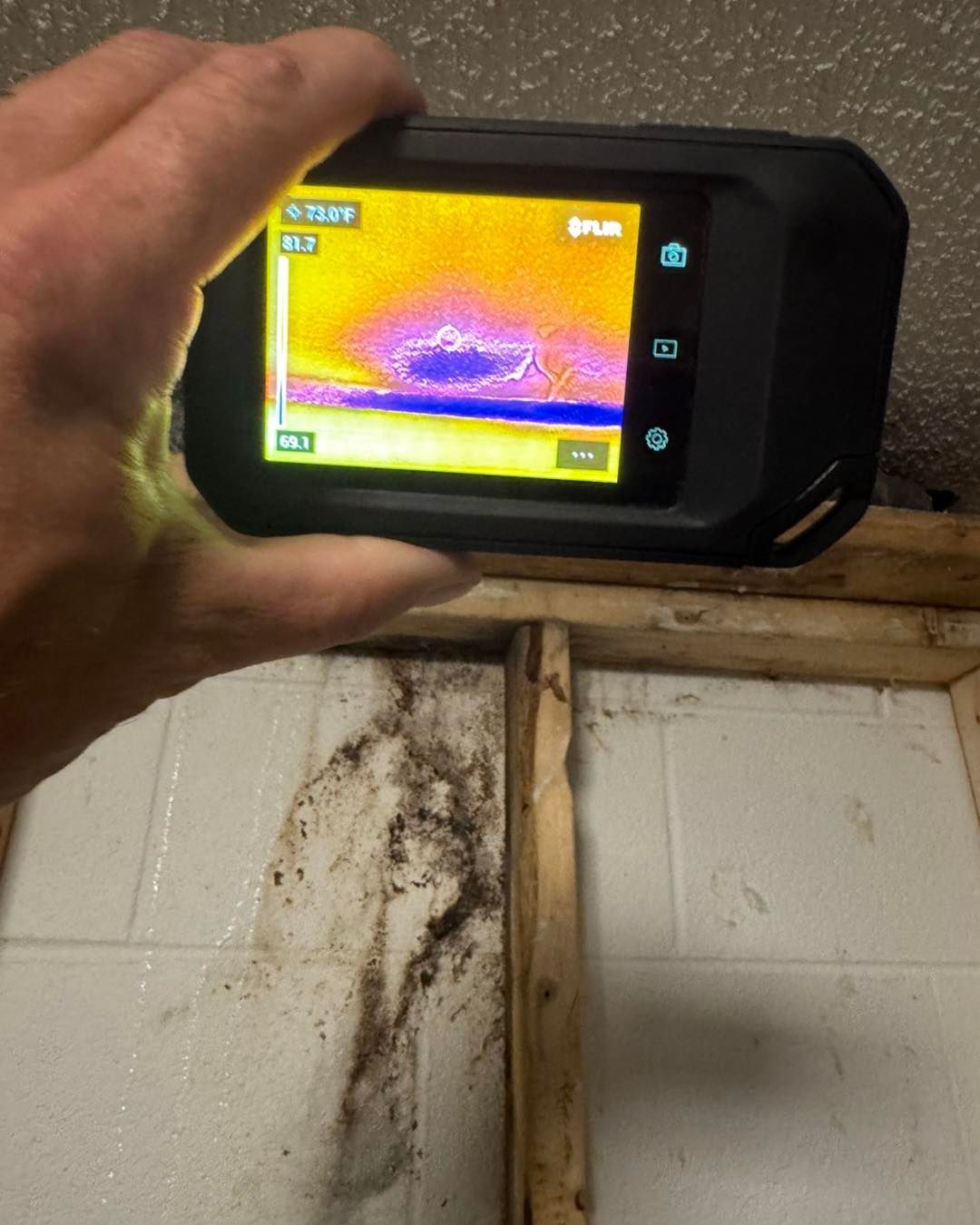 A thermal imaging camera scans a damp, mold-covered basement wall, showing cold blue areas against warmer orange