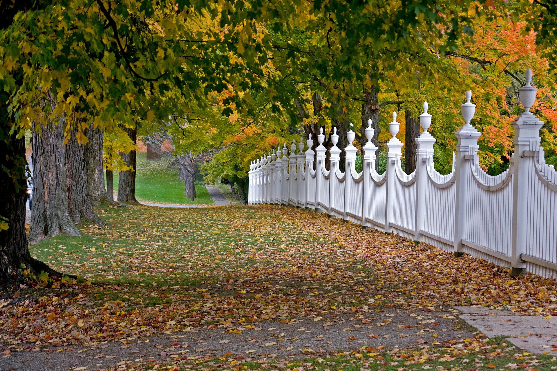 A white wooden fence lines a grassy path covered in autumn leaves beneath colorful, turning trees.
