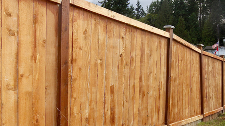 fence with bushes