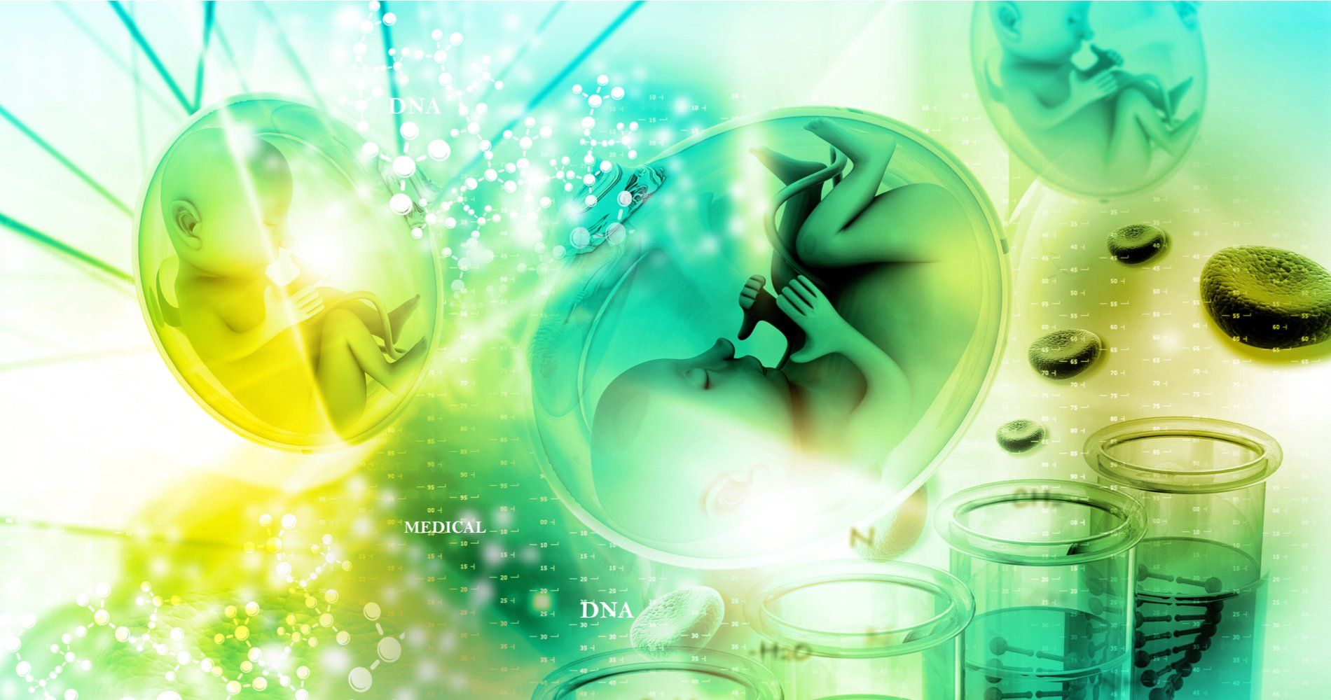 analisi sulla fertilità