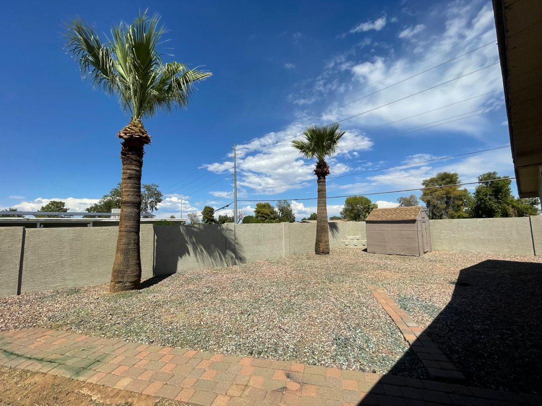 A couple of palm trees in a backyard with a blue sky in the background.