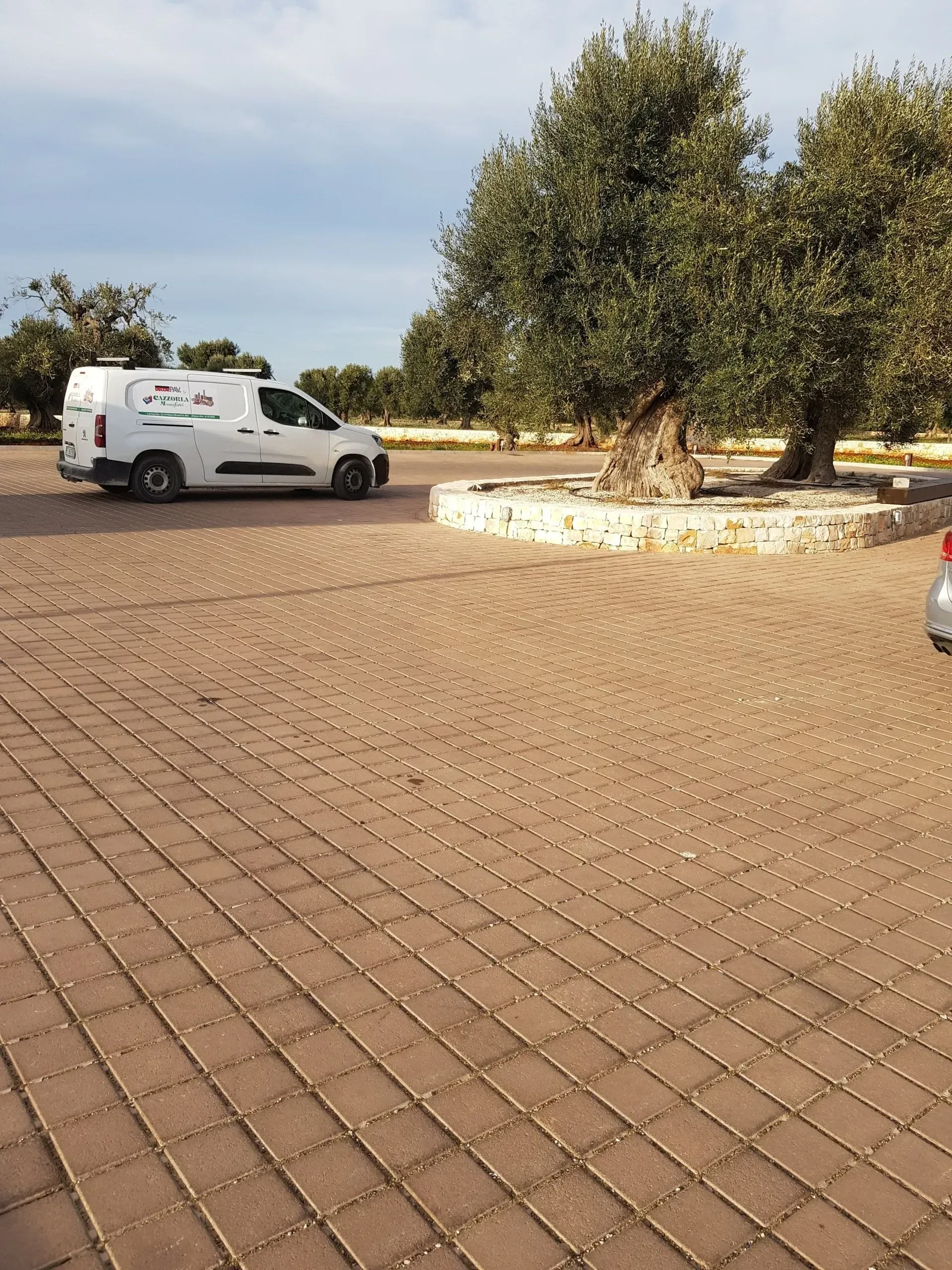 Un furgone bianco parcheggiato vicino a un grande albero in una zona pavimentata in mattoni, con altri alberi sullo sfondo sotto un cielo nuvoloso.