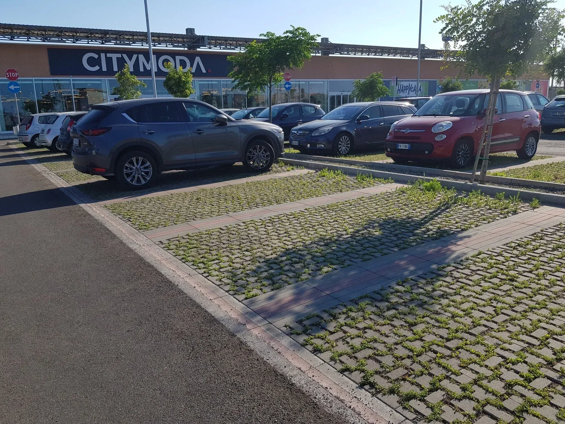 Auto parcheggiate in un parcheggio con un negozio 