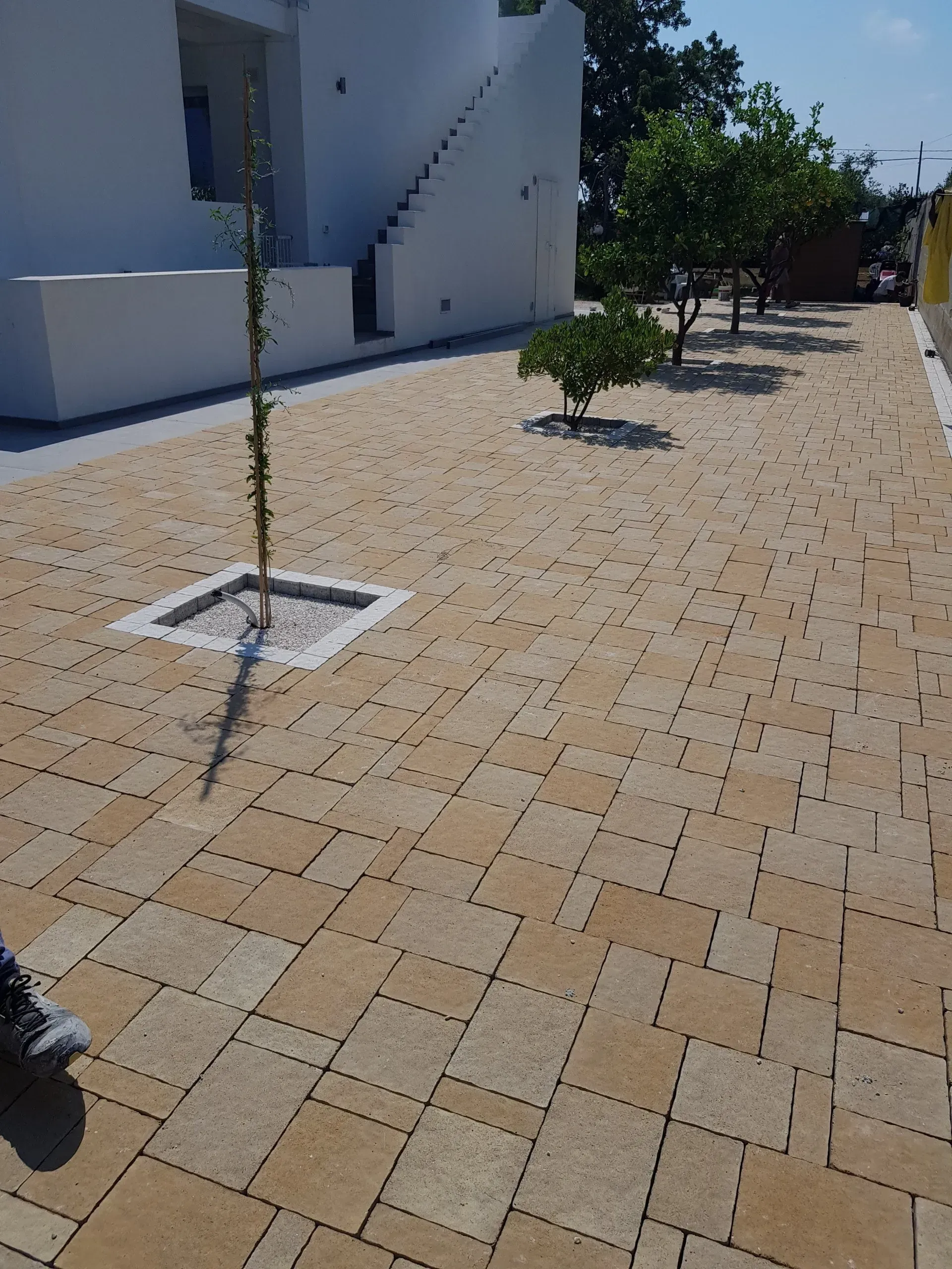 Patio in mattoni con piccoli alberi, un edificio con scale e luce solare.