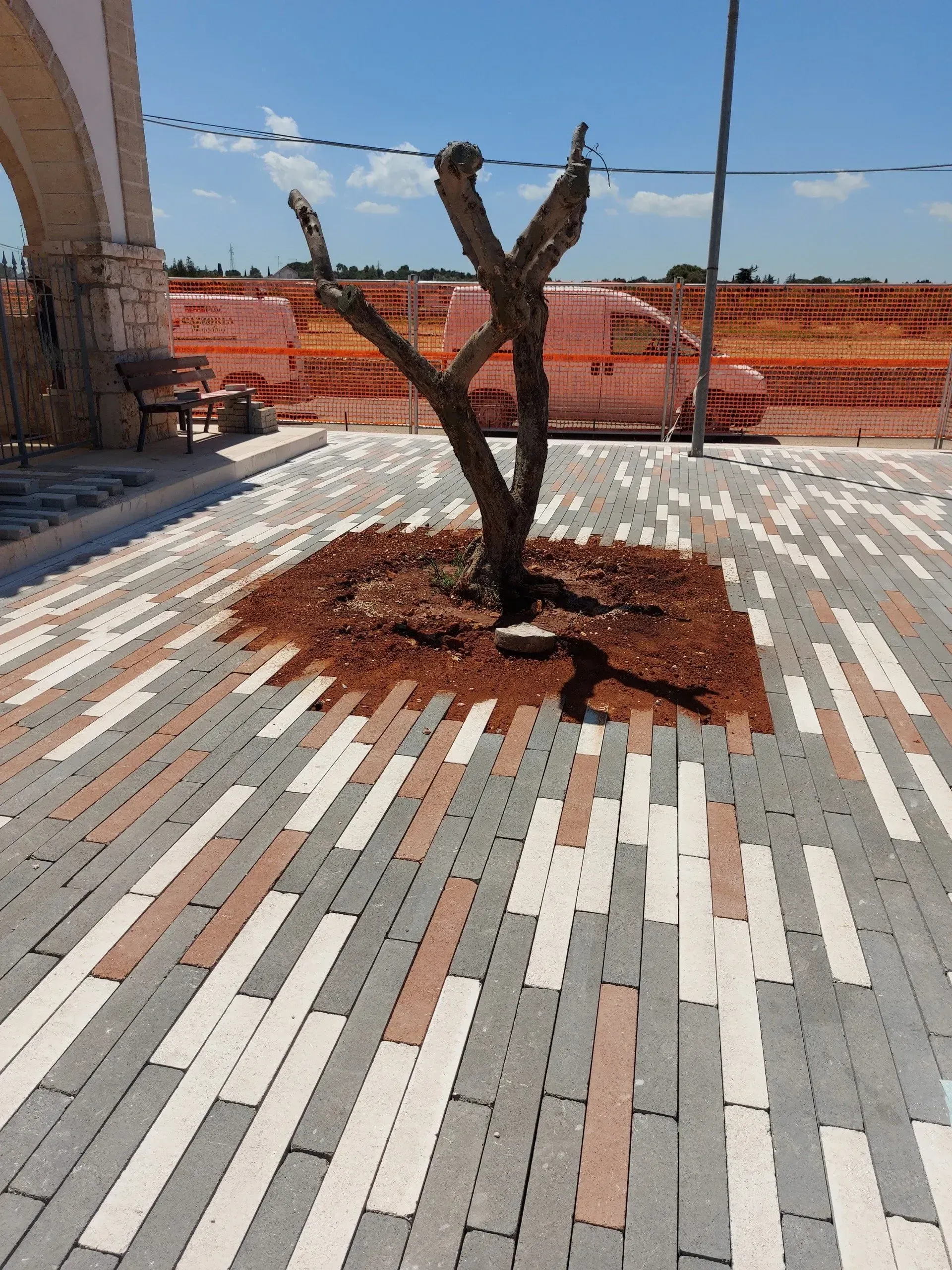 Albero circondato da pacciame in un cortile pavimentato in mattoni con una struttura ad arco sullo sfondo e una recinzione arancione.