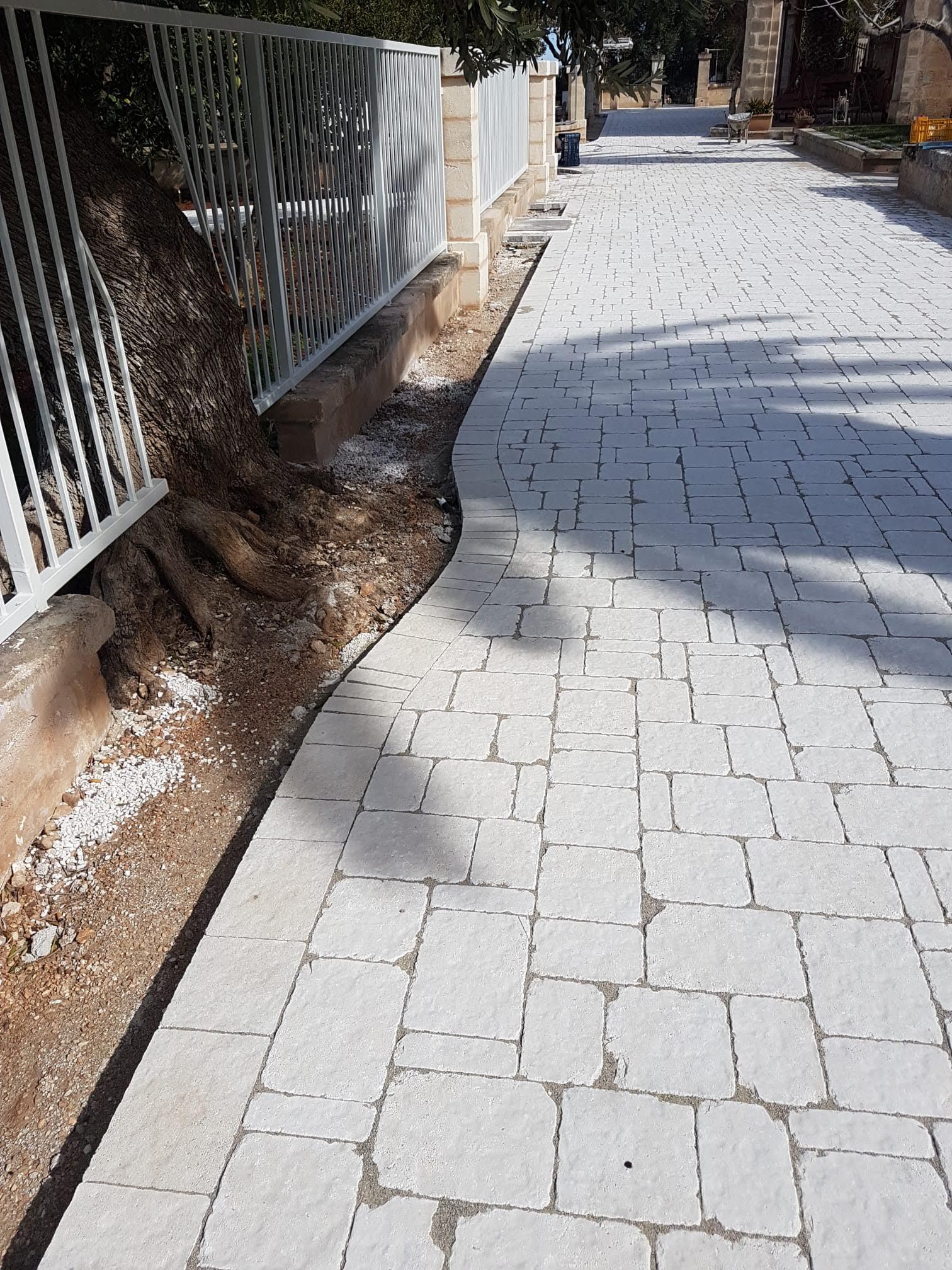 Un sentiero di mattoni curva attorno all'albero accanto a una recinzione bianca.