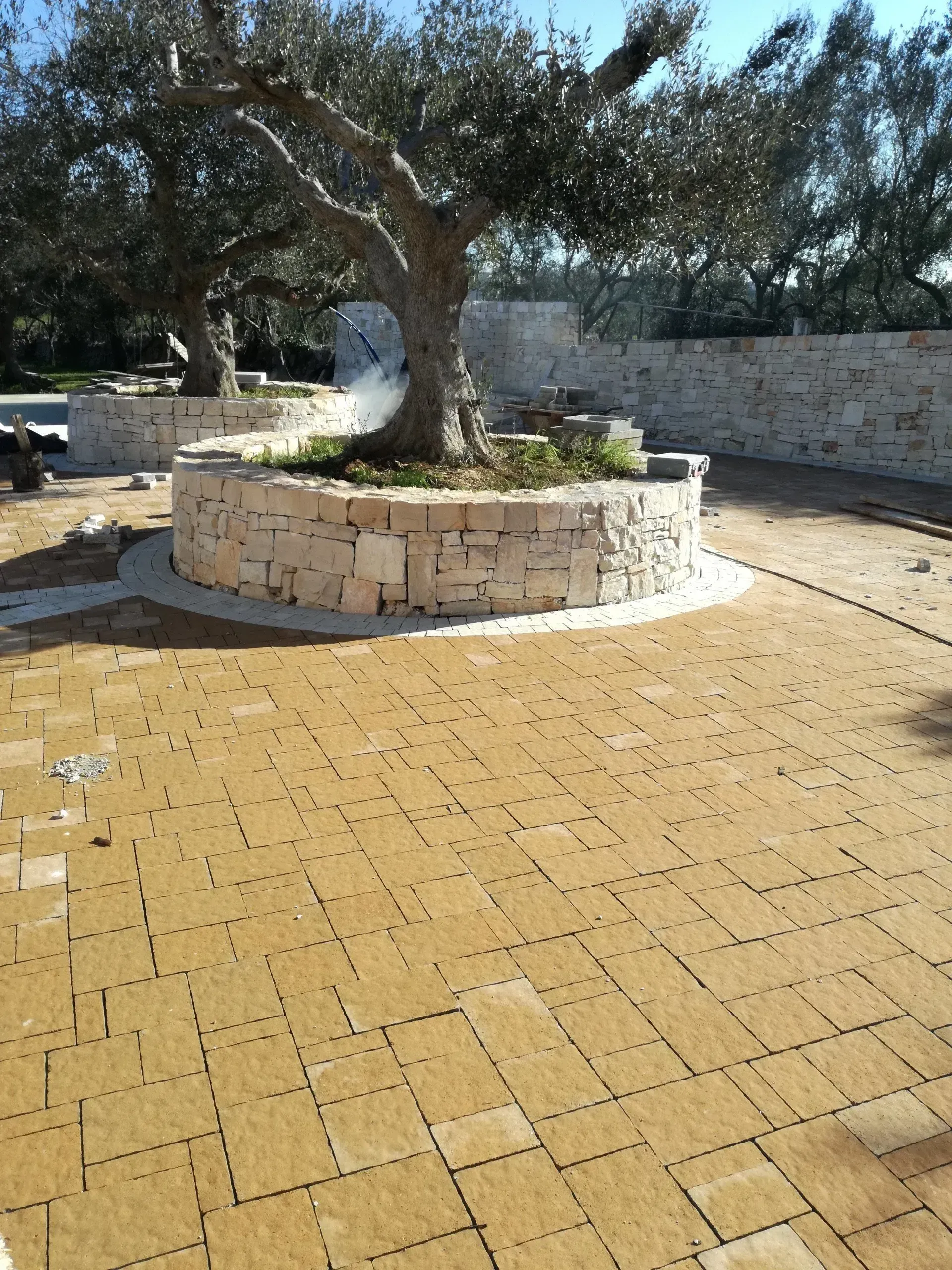 Aiuola circolare con muro in pietra e ulivo; patio in mattoni marrone chiaro.