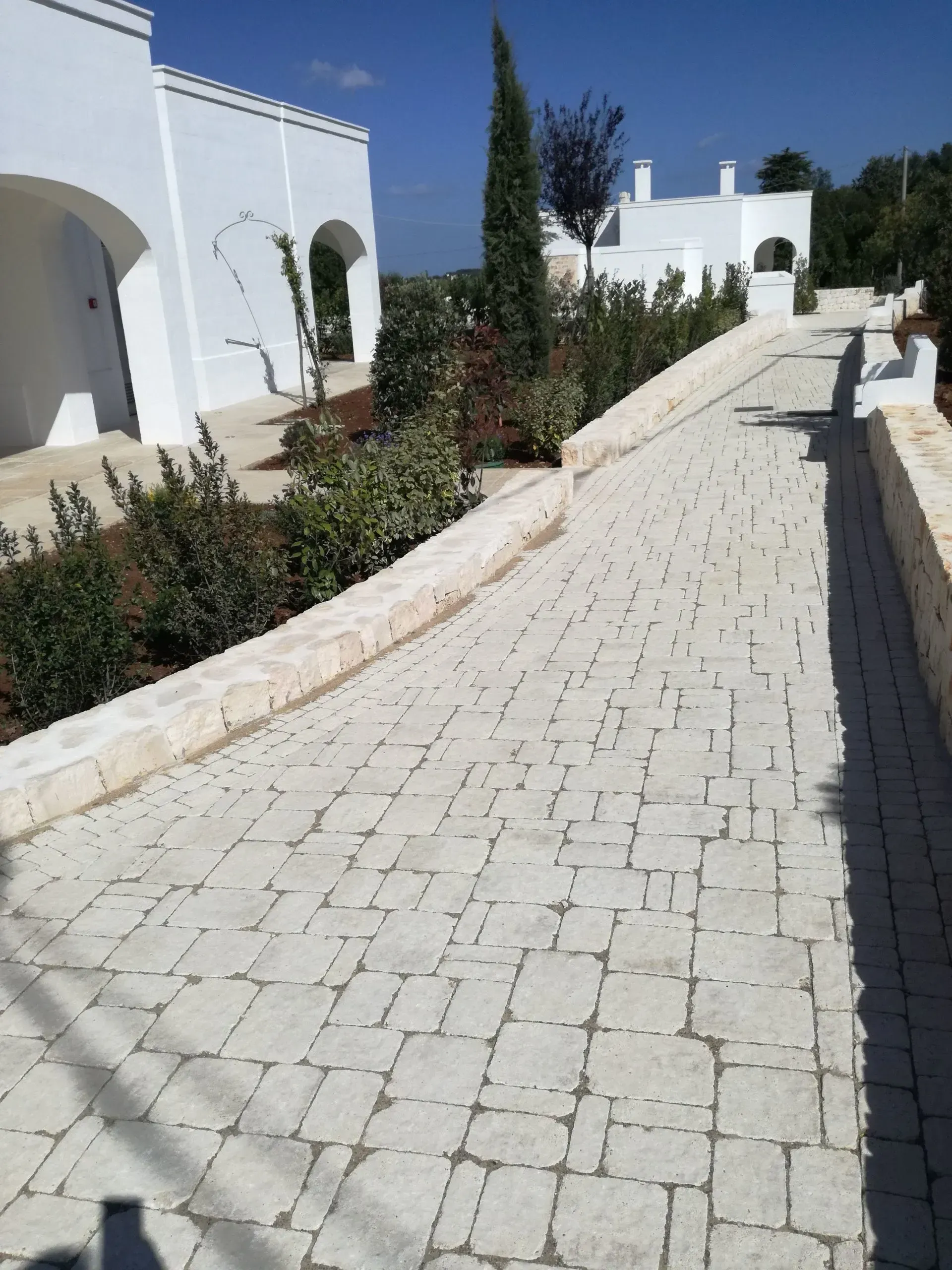 Un sentiero lastricato che sale tra edifici bianchi e giardini sotto un cielo azzurro.