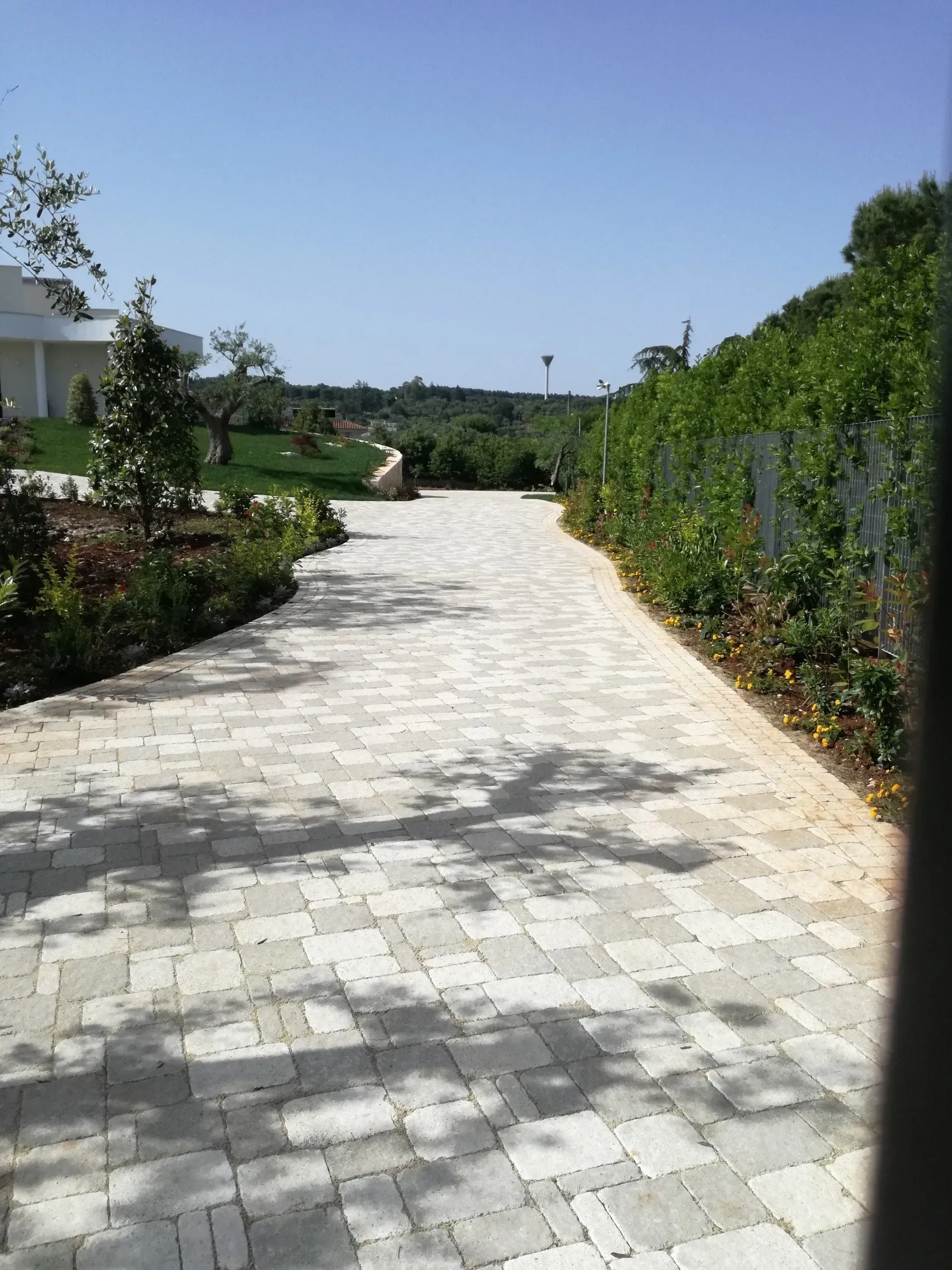 Sentiero lastricato attraverso un giardino con piante basse, che conduce verso lontane colline verdi sotto un cielo azzurro brillante.