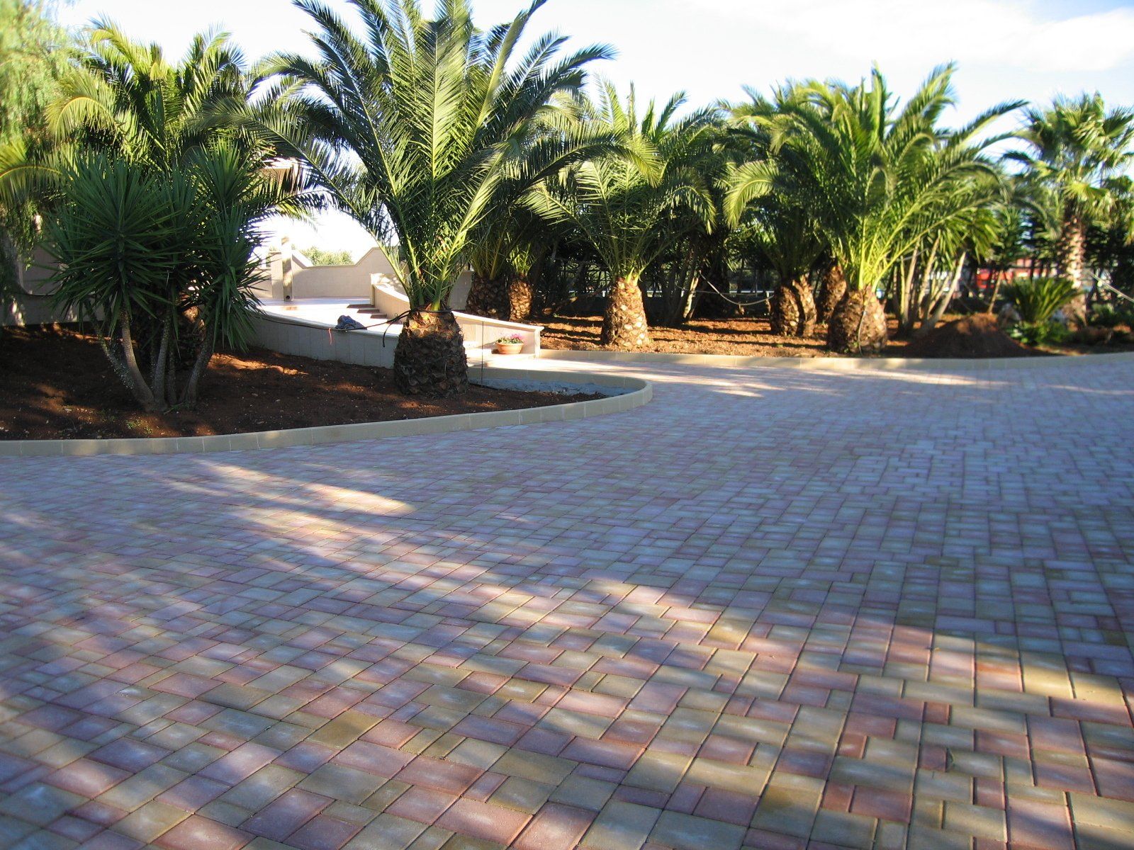 Un sentiero in mattoni si snoda attraverso un palmeto; ambiente soleggiato all'aperto.