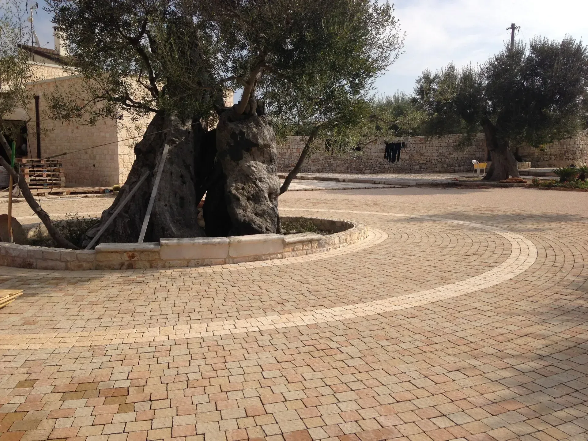 Un cortile pavimentato in mattoni, con grandi ulivi e un edificio in pietra.