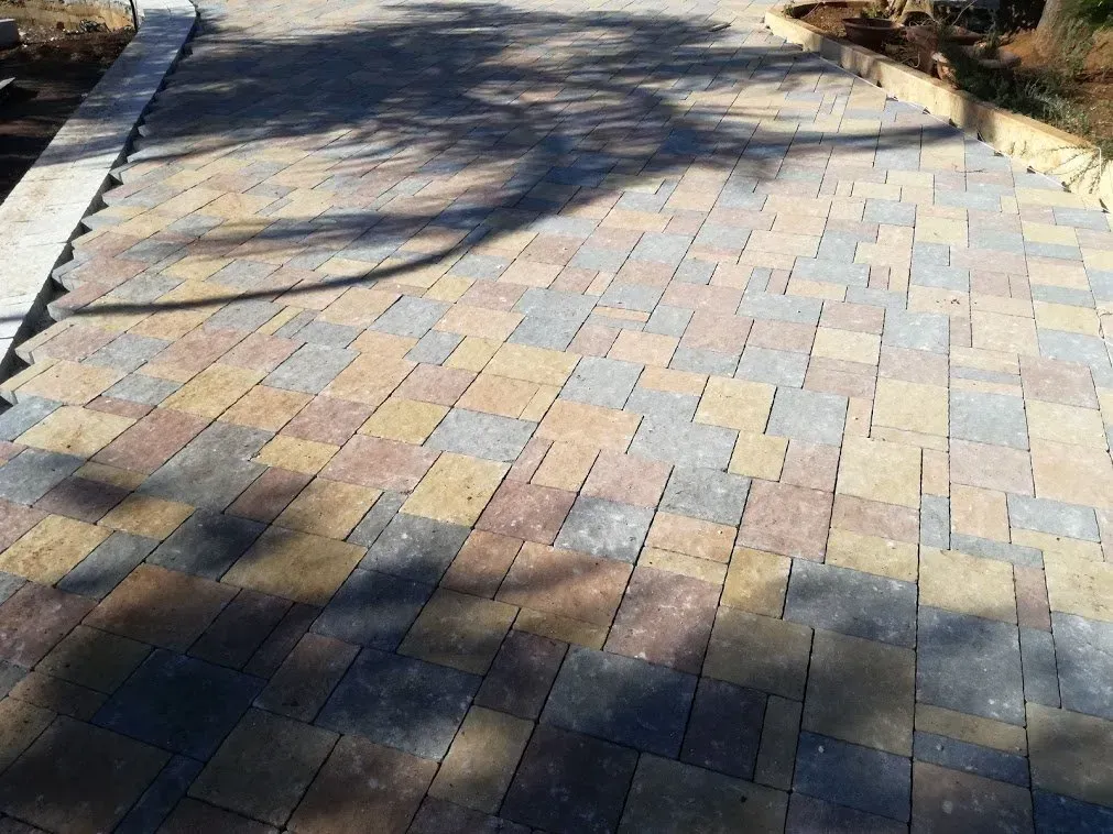 Passerella in mattoni con pavimentazione multicolore, ombreggiata da un albero.