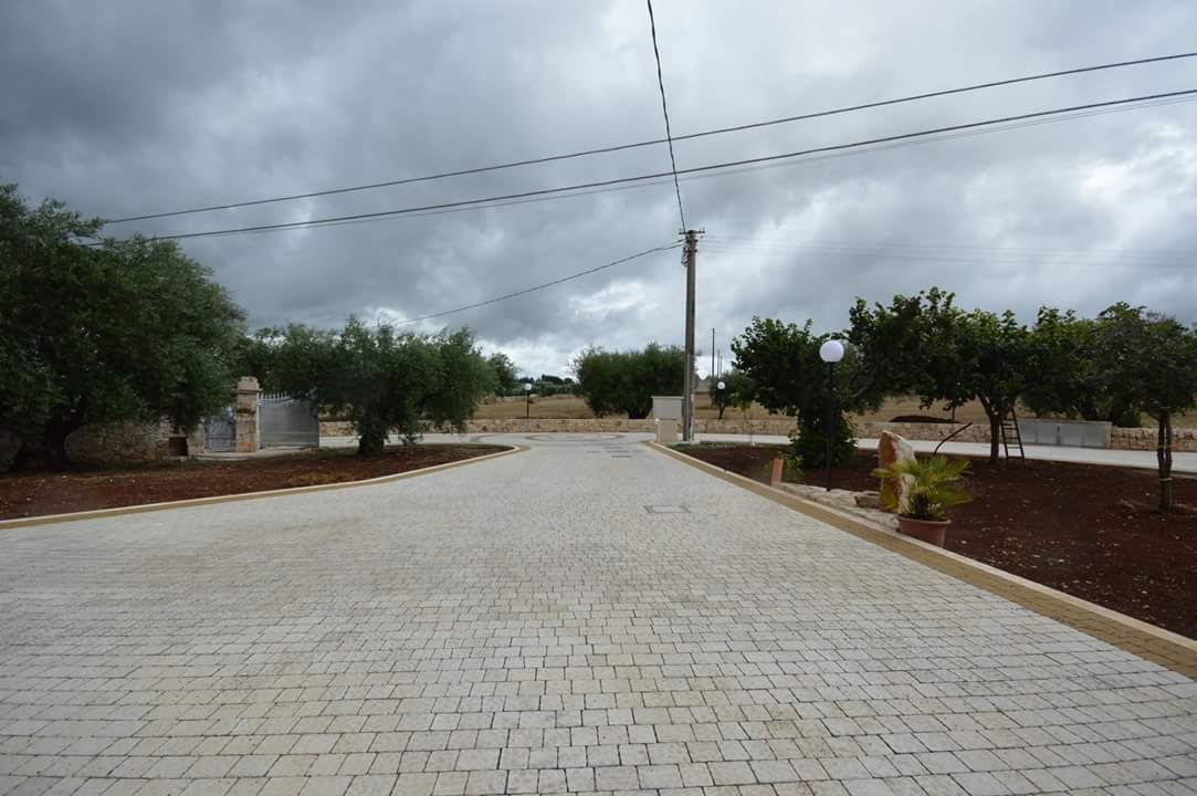 Vialetto di mattoni che conduce agli ulivi sotto un cielo nuvoloso.