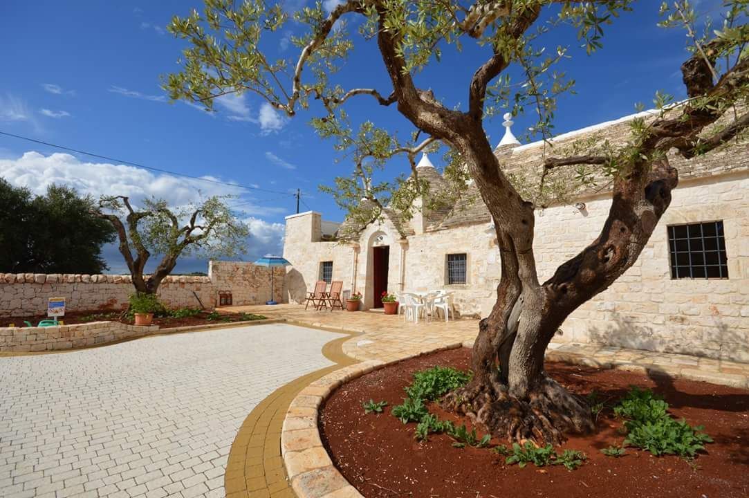 Cortile con vialetto pavimentato, edificio imbiancato e ulivi sotto un cielo azzurro brillante.
