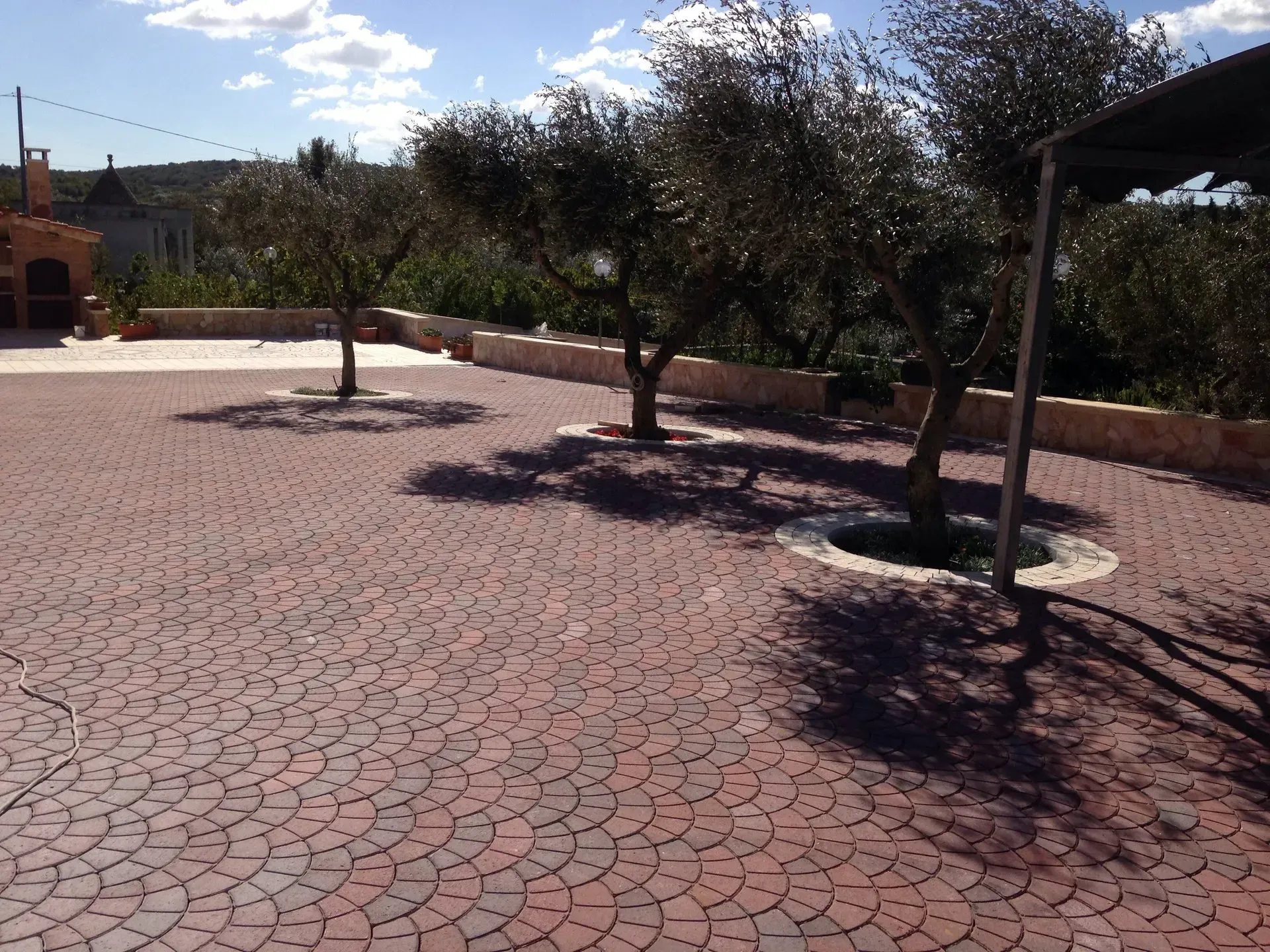Patio in mattoni con ulivi che proiettano ombre.