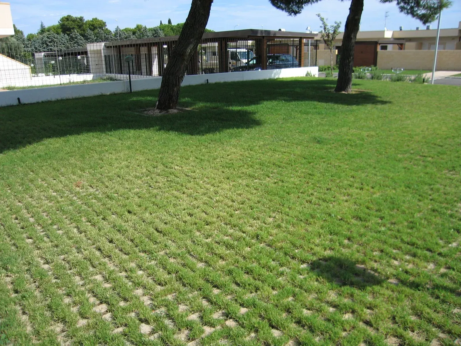 Prato verde con motivo a griglia, due alberi e un edificio sullo sfondo.