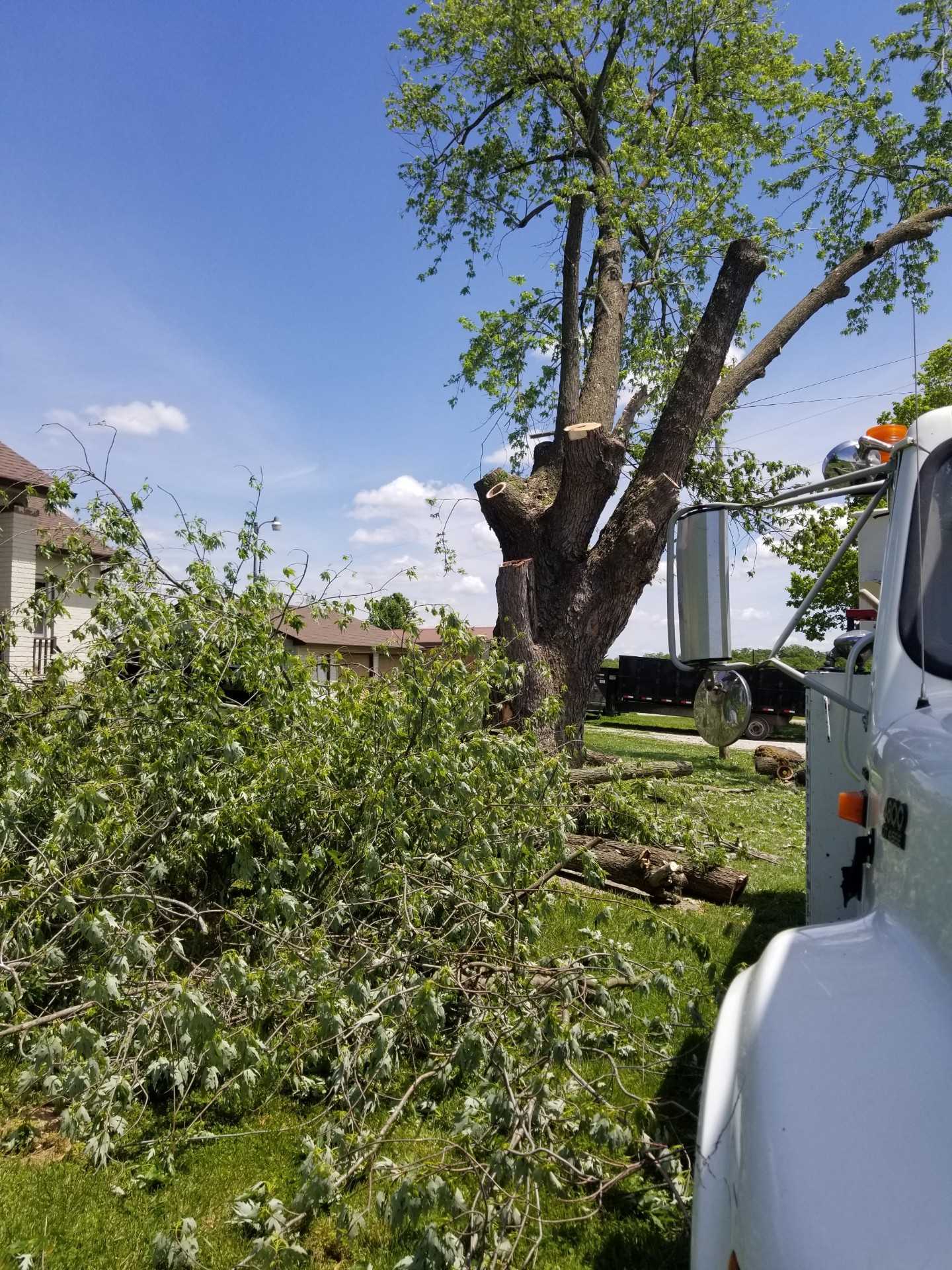 A white truck is parked in front of a tree that has been cut down.