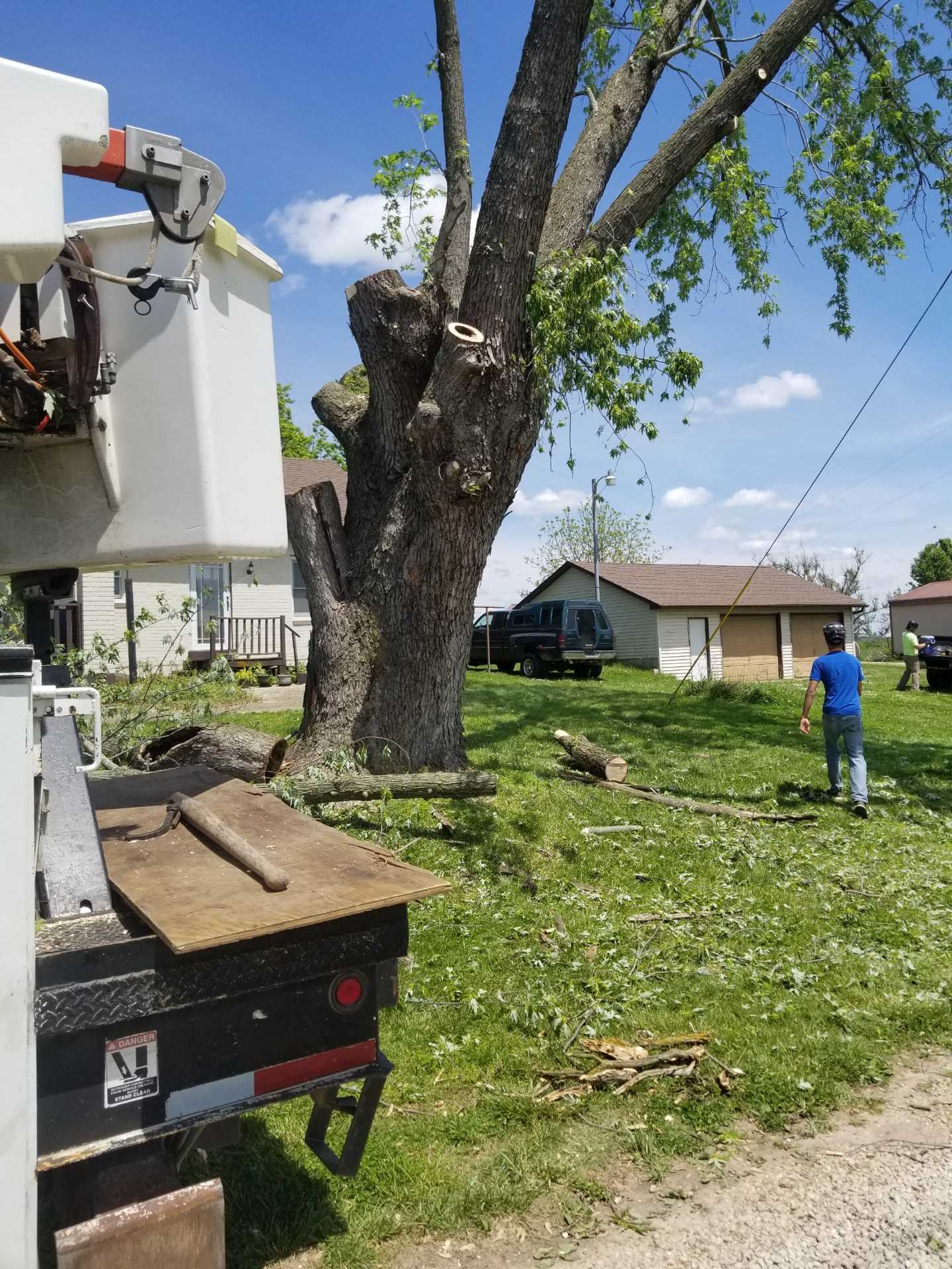 A man is standing in front of a tree that has been cut down.