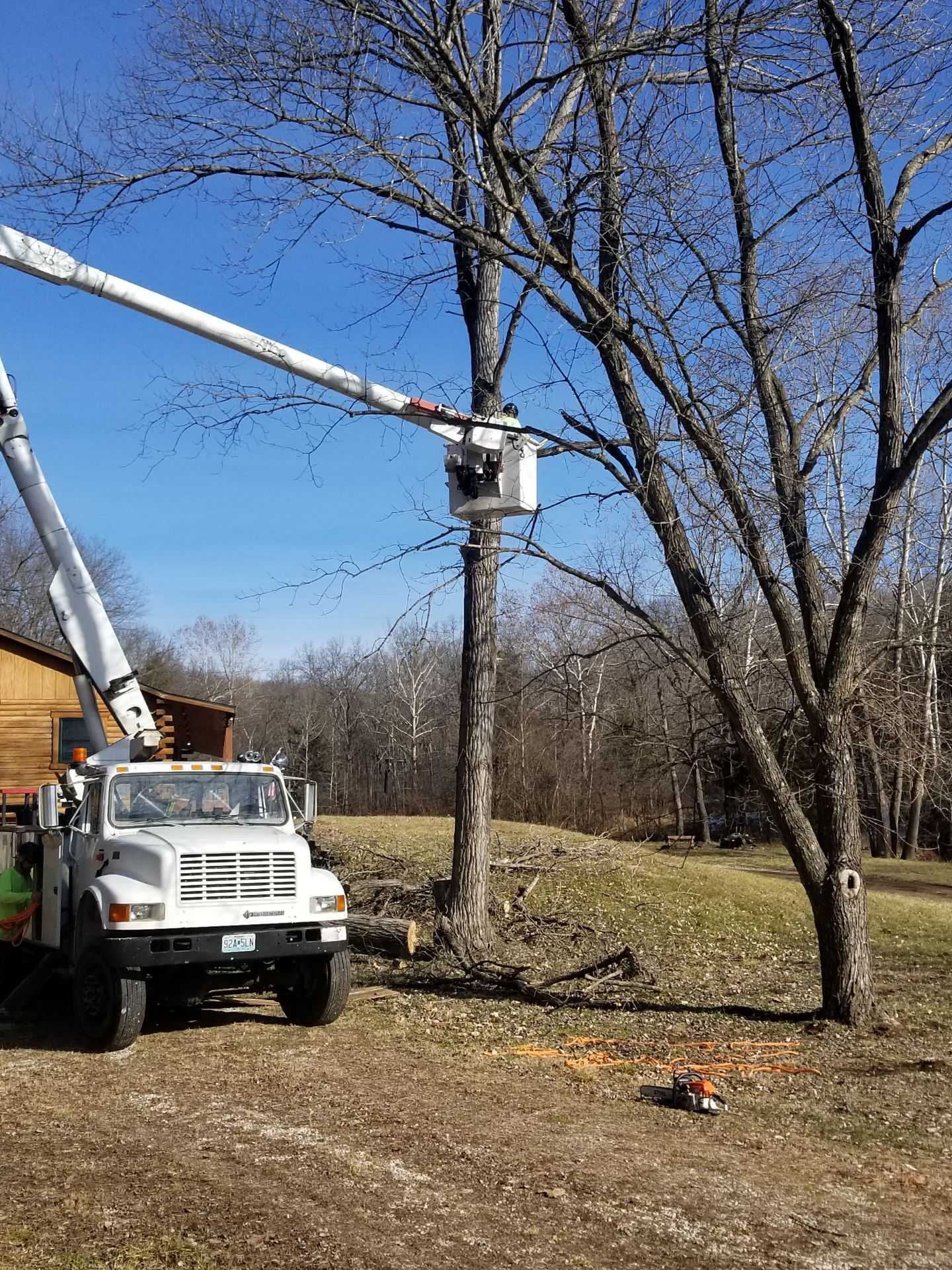A white truck with a crane on top of it is cutting a tree.