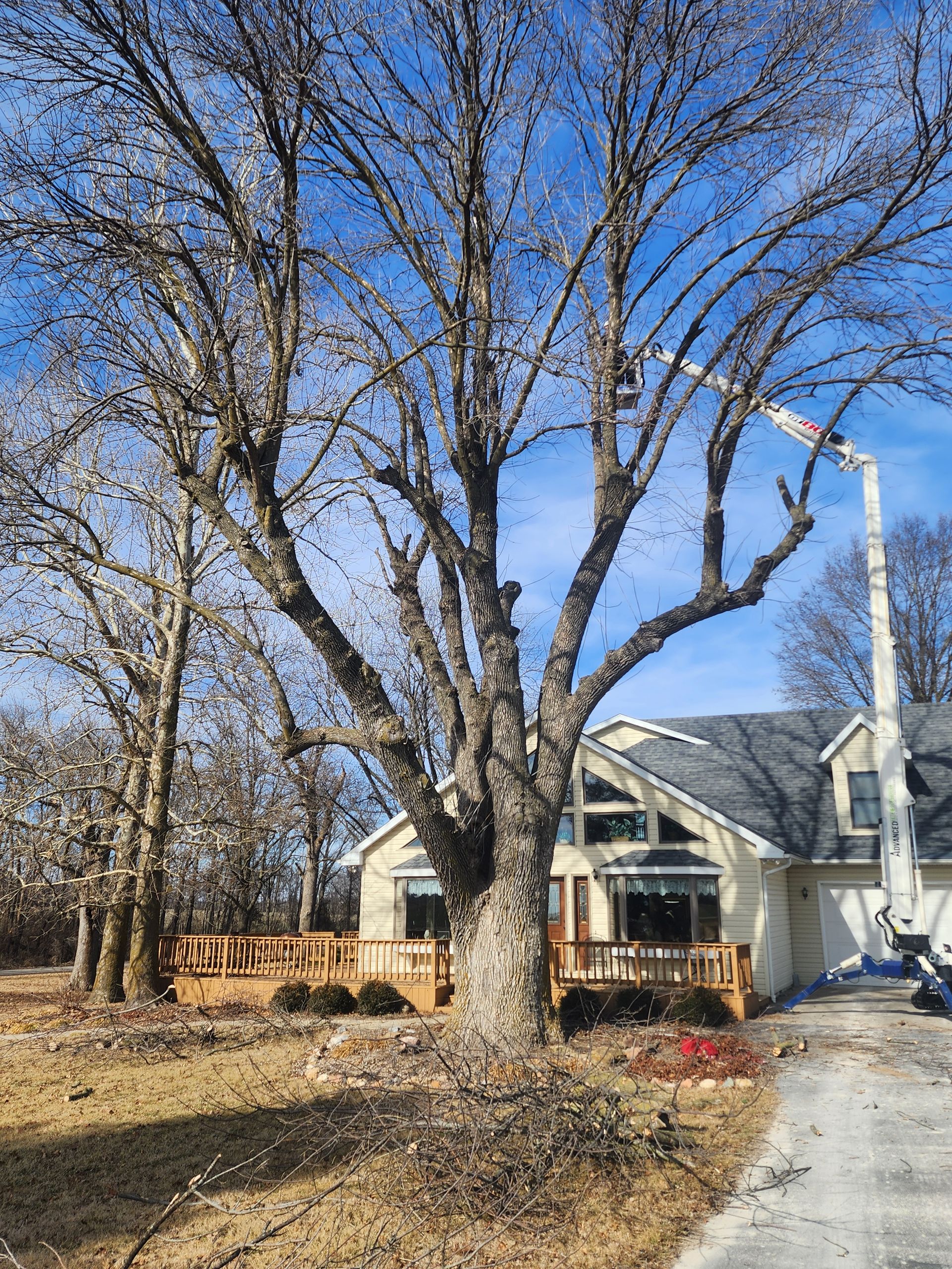 A large tree is being cut down in front of a house.