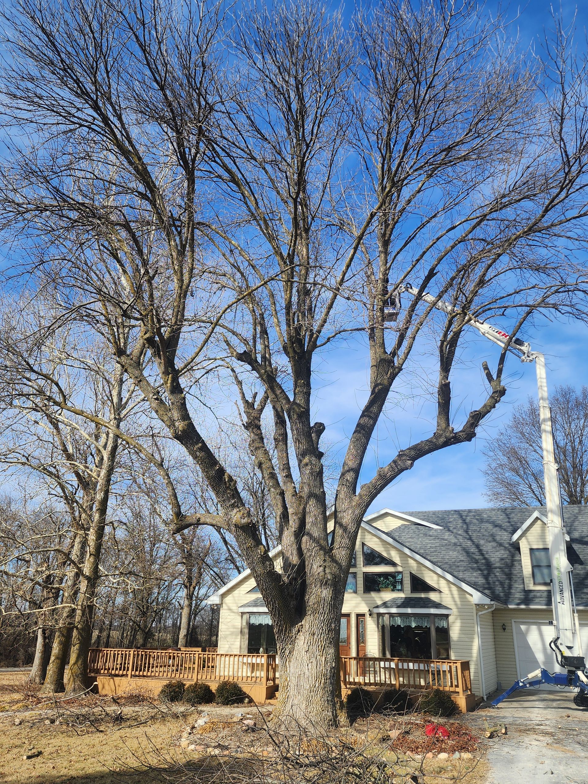A large tree is being cut down in front of a house.