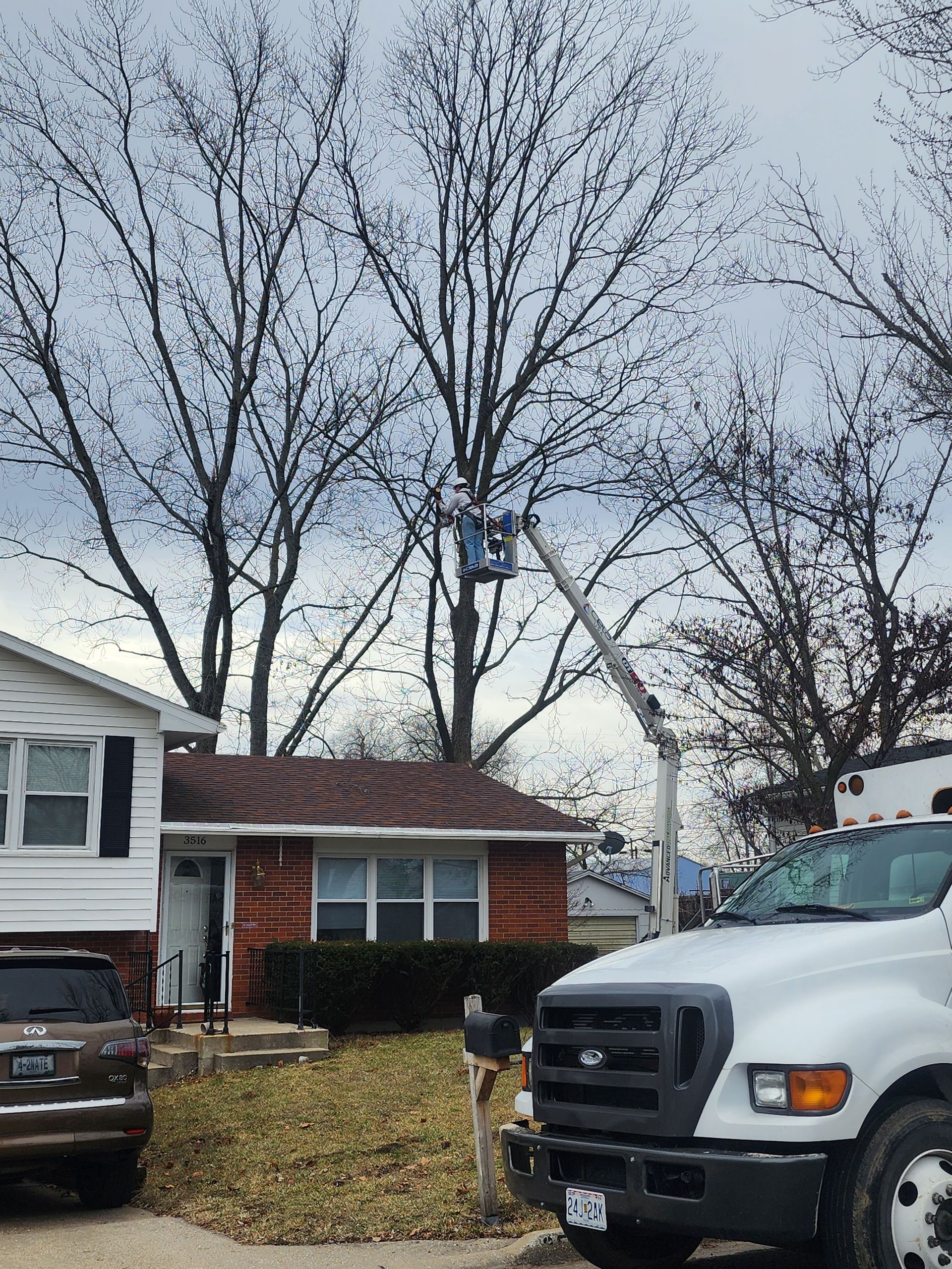 An Advanced Tree Solutions LLC truck is parked in front of a house.