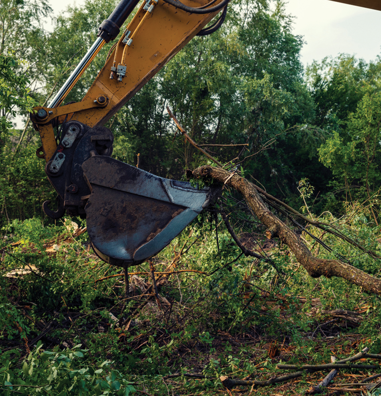 An excavator scooping a tree branch out of the ground