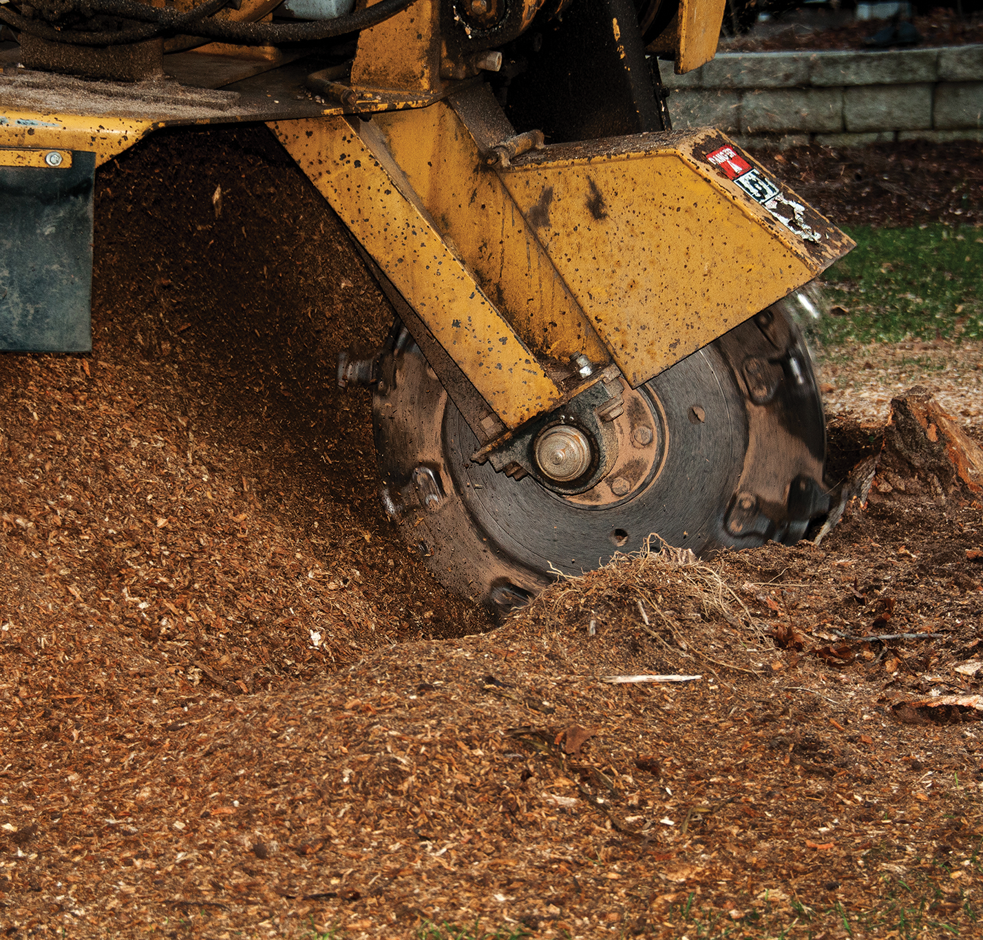 A yellow tractor is cutting a tree stump in the ground