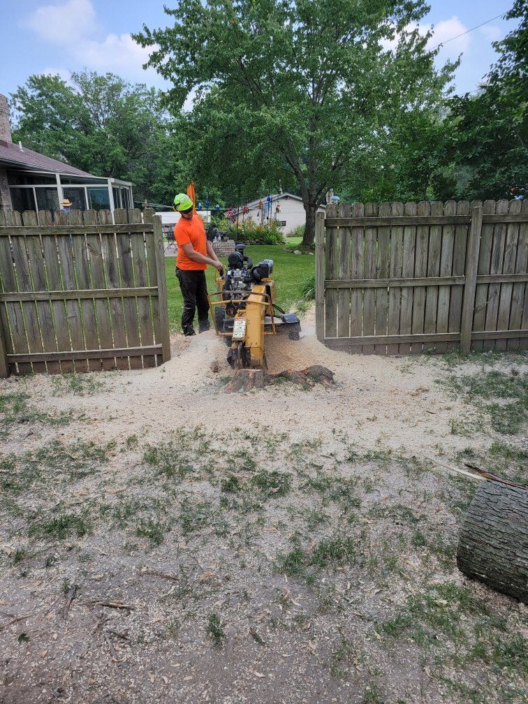 A man is using a stump grinder to remove a tree stump.