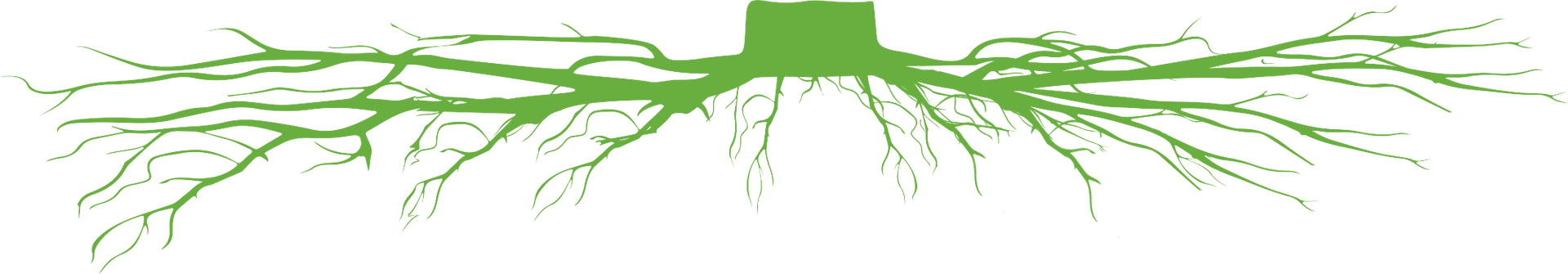 A green tree with roots on a white background.